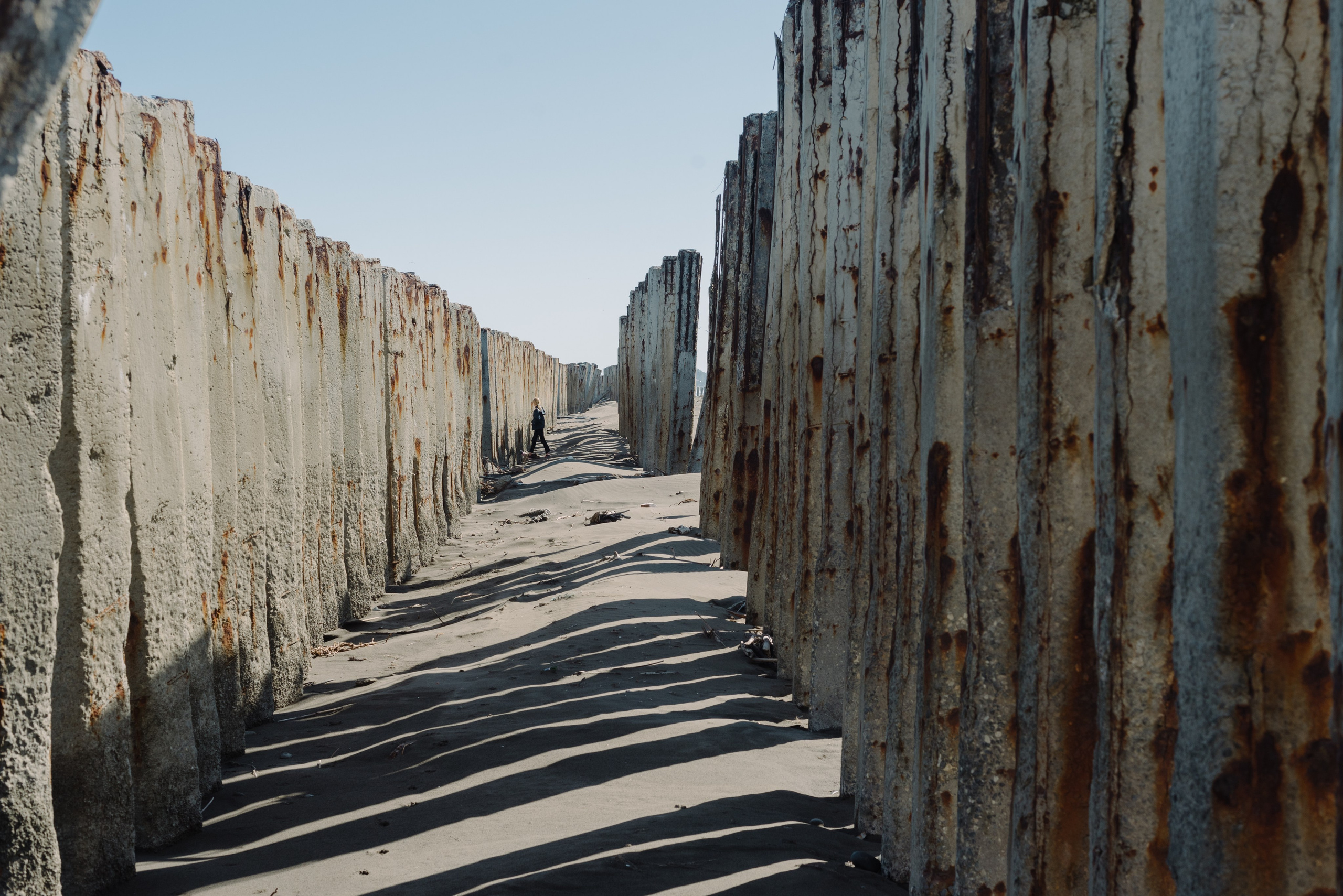 Самур биологи. Фотограф Алиса Калинина