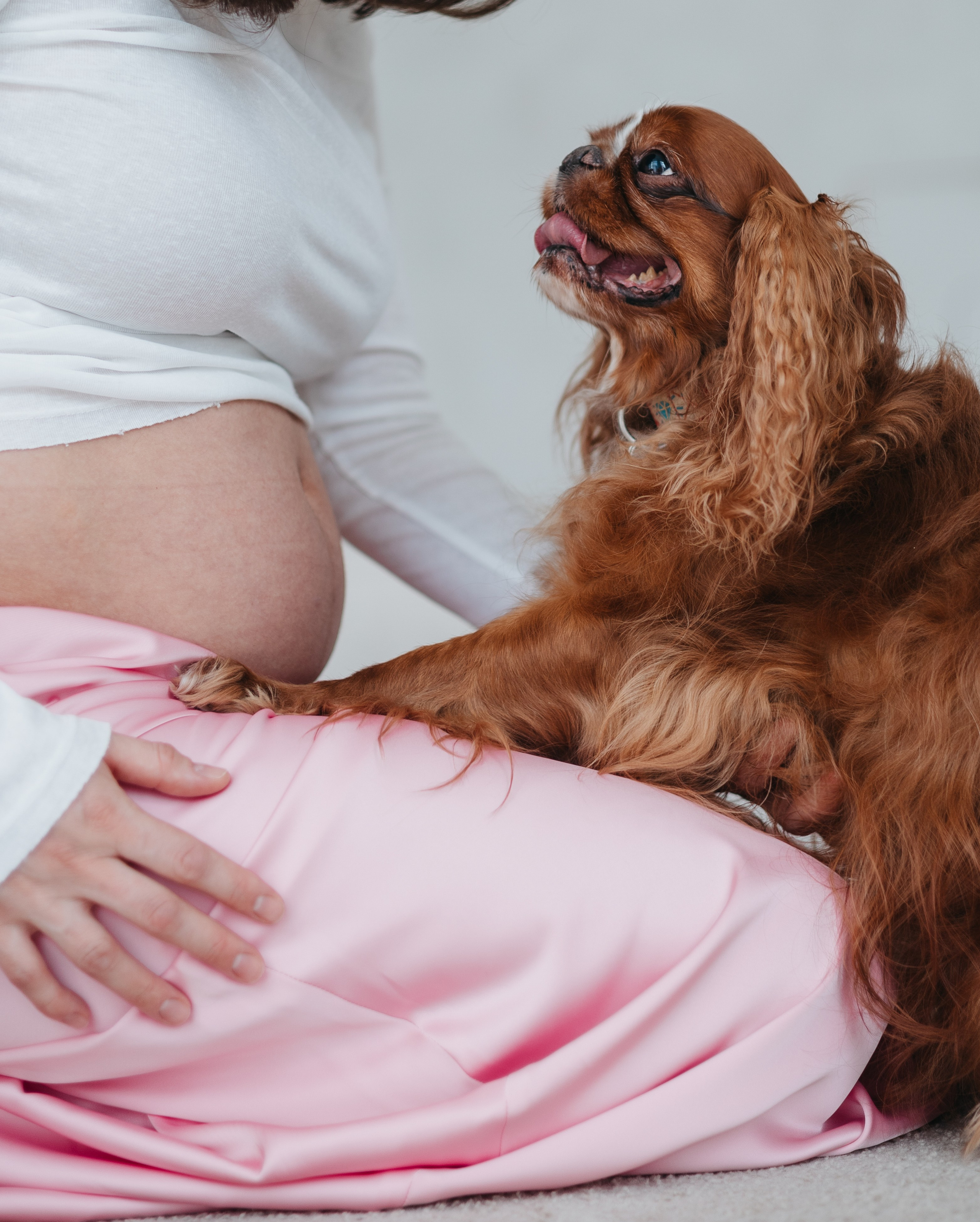 Полина, Максим и Кекс. Фотограф животных Евгения Верцинская