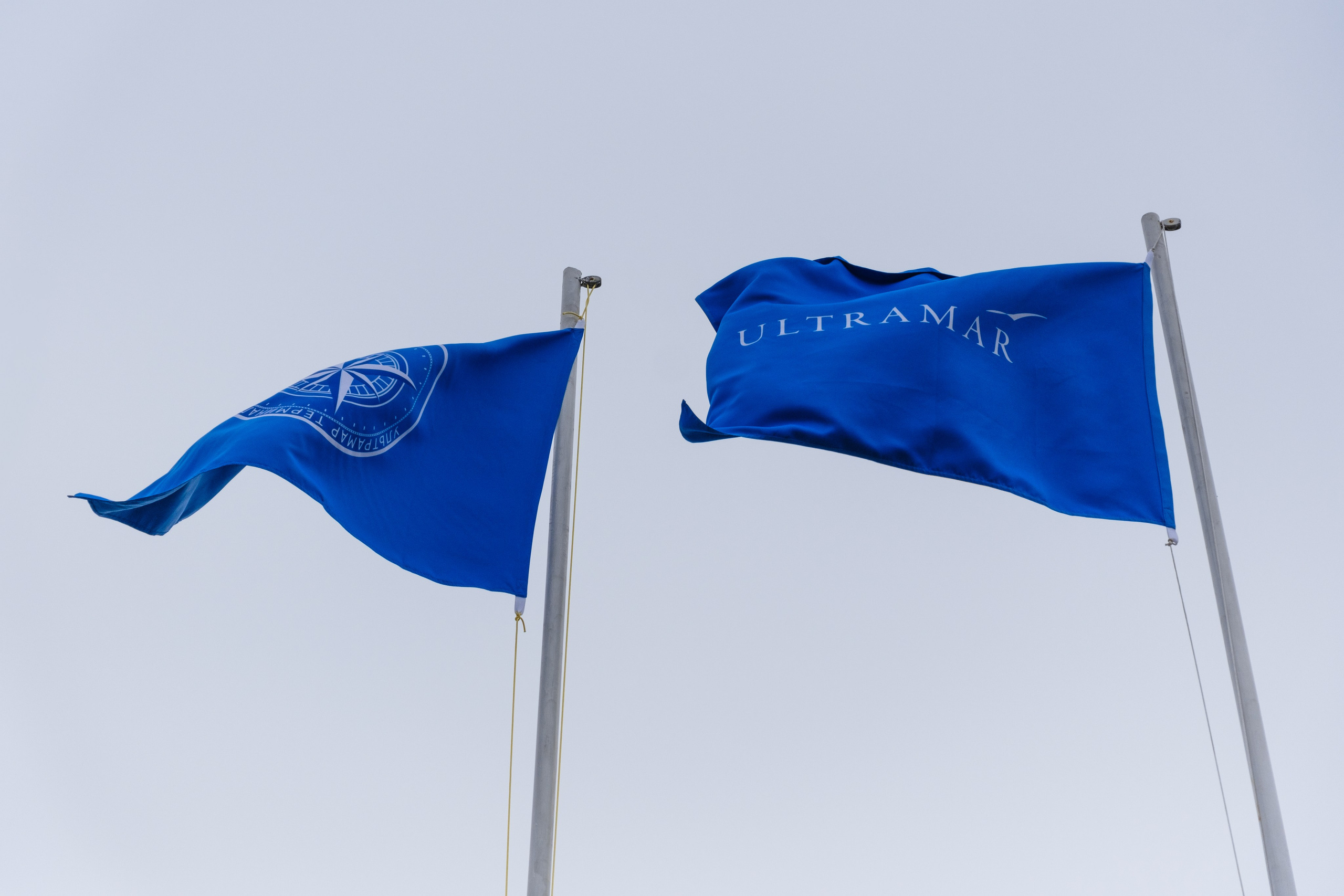 Репортажи. Портретный и репортажный фотограф в Санкт-Петербурге Дарья Сибирякова