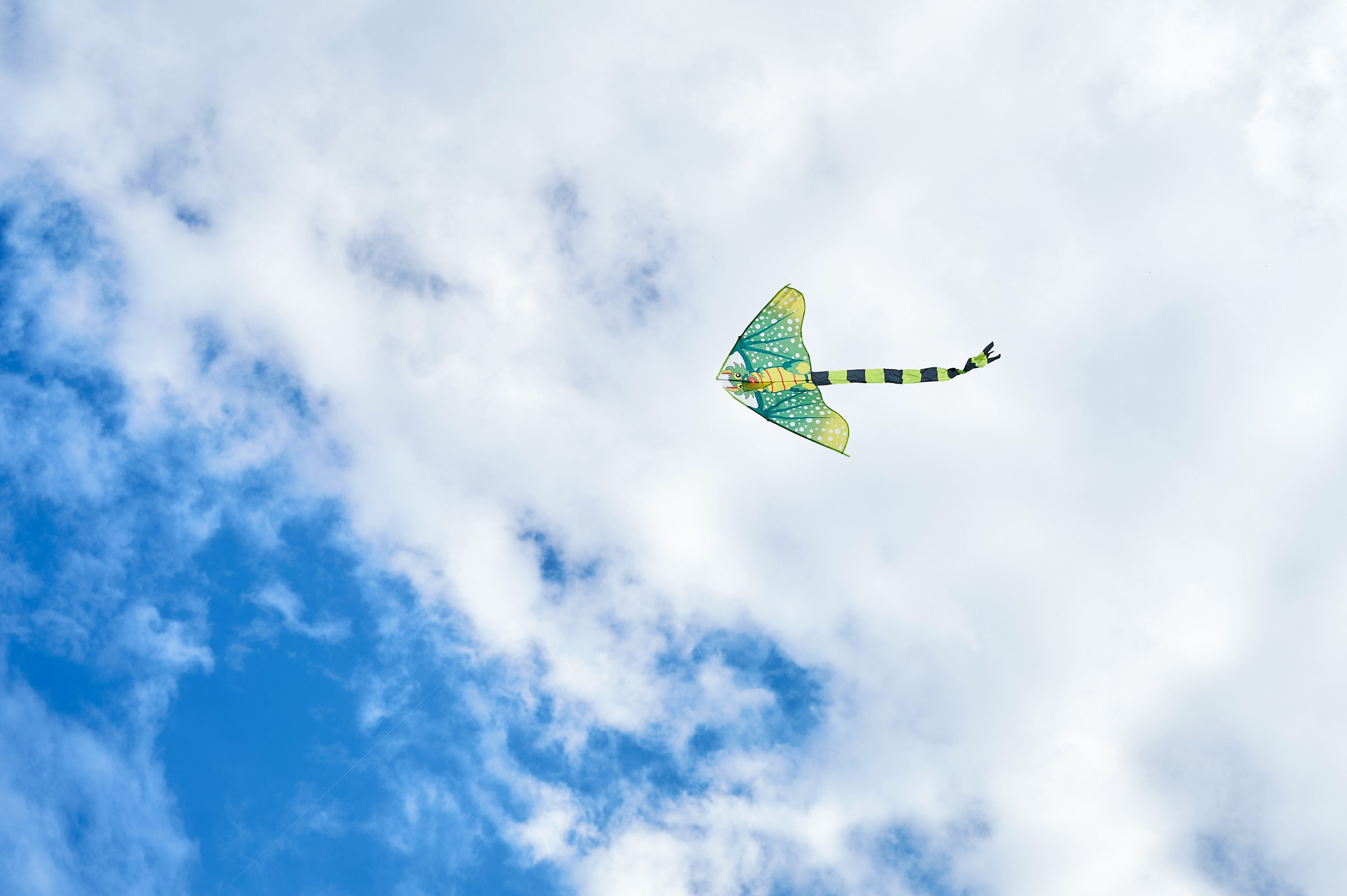 АКТО Гребной канал. Фотограф Опыт Качество Скорость Горный Алтай Барнаул