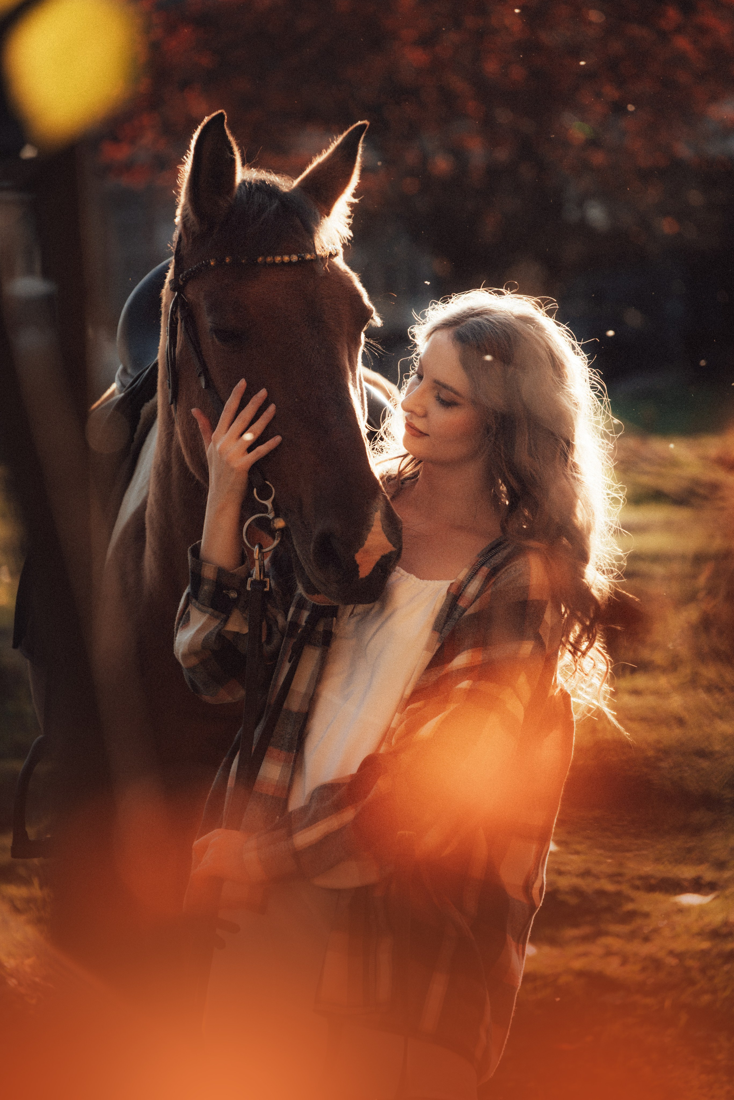 Съемка с лошадью Иркутск Иркутская область. Сайт фотографа Елены Коноваловой Иркутск