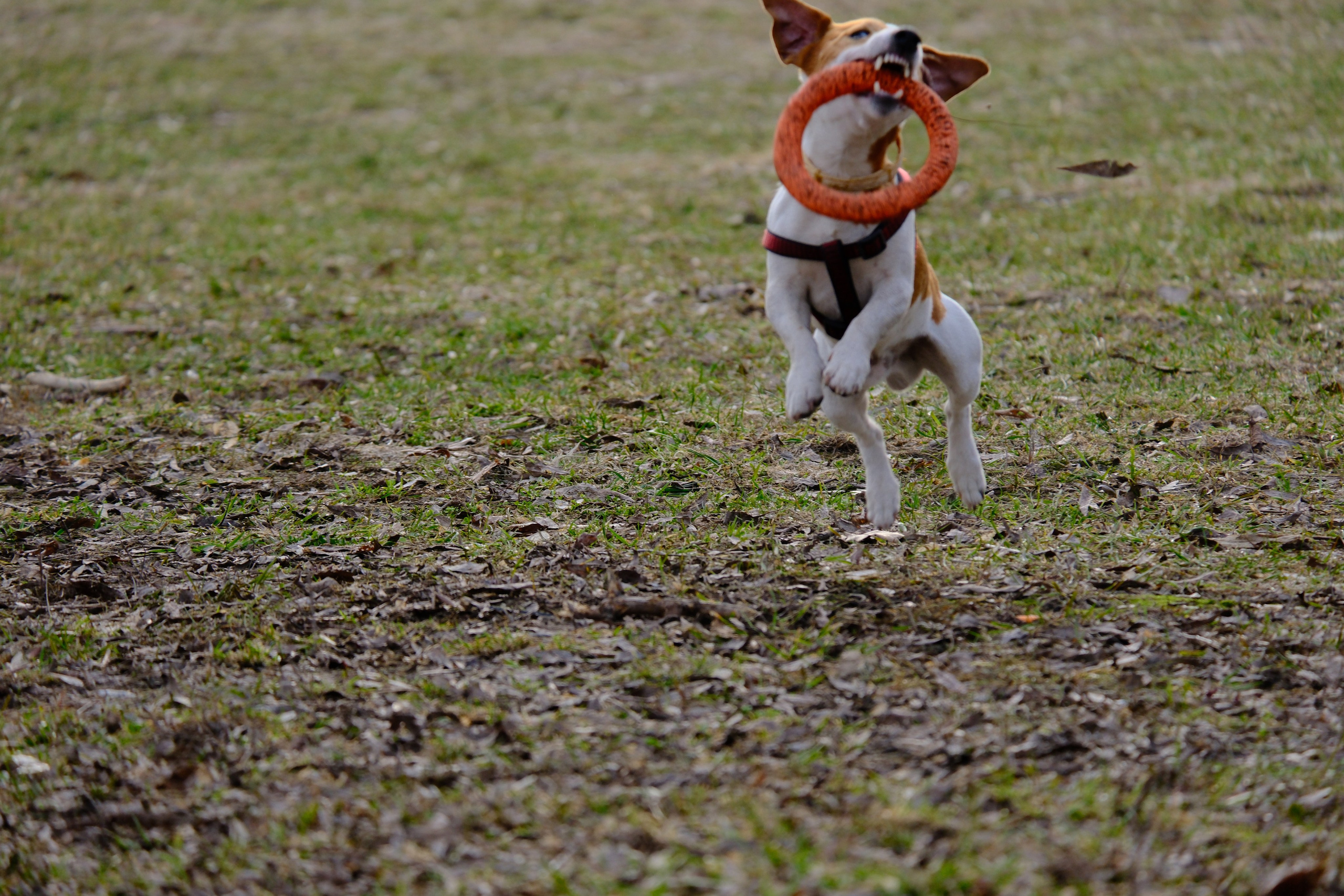 街头摄影. 主页