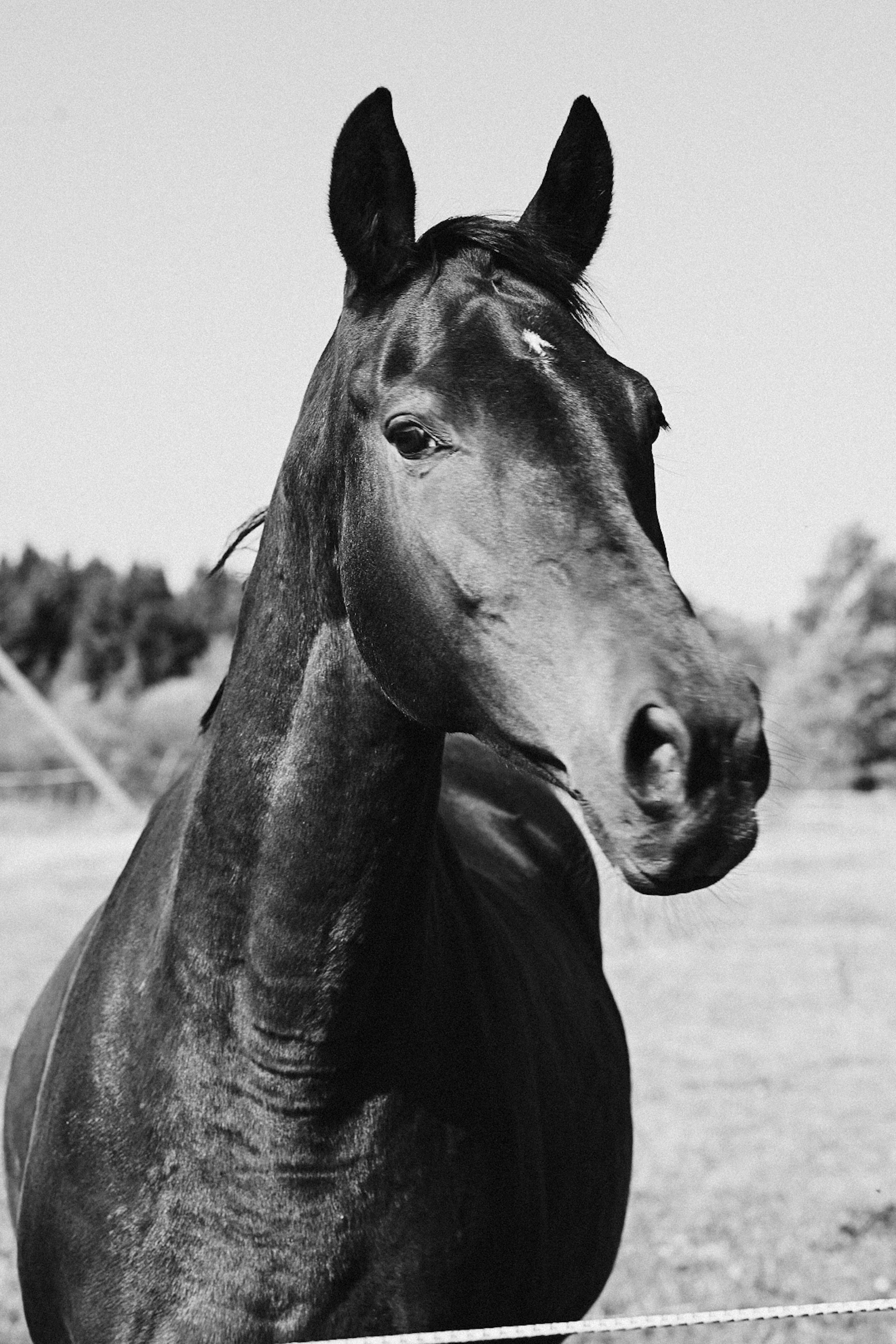 LifeStyle фотограф Анна Воробьёва Санкт-Петербург
