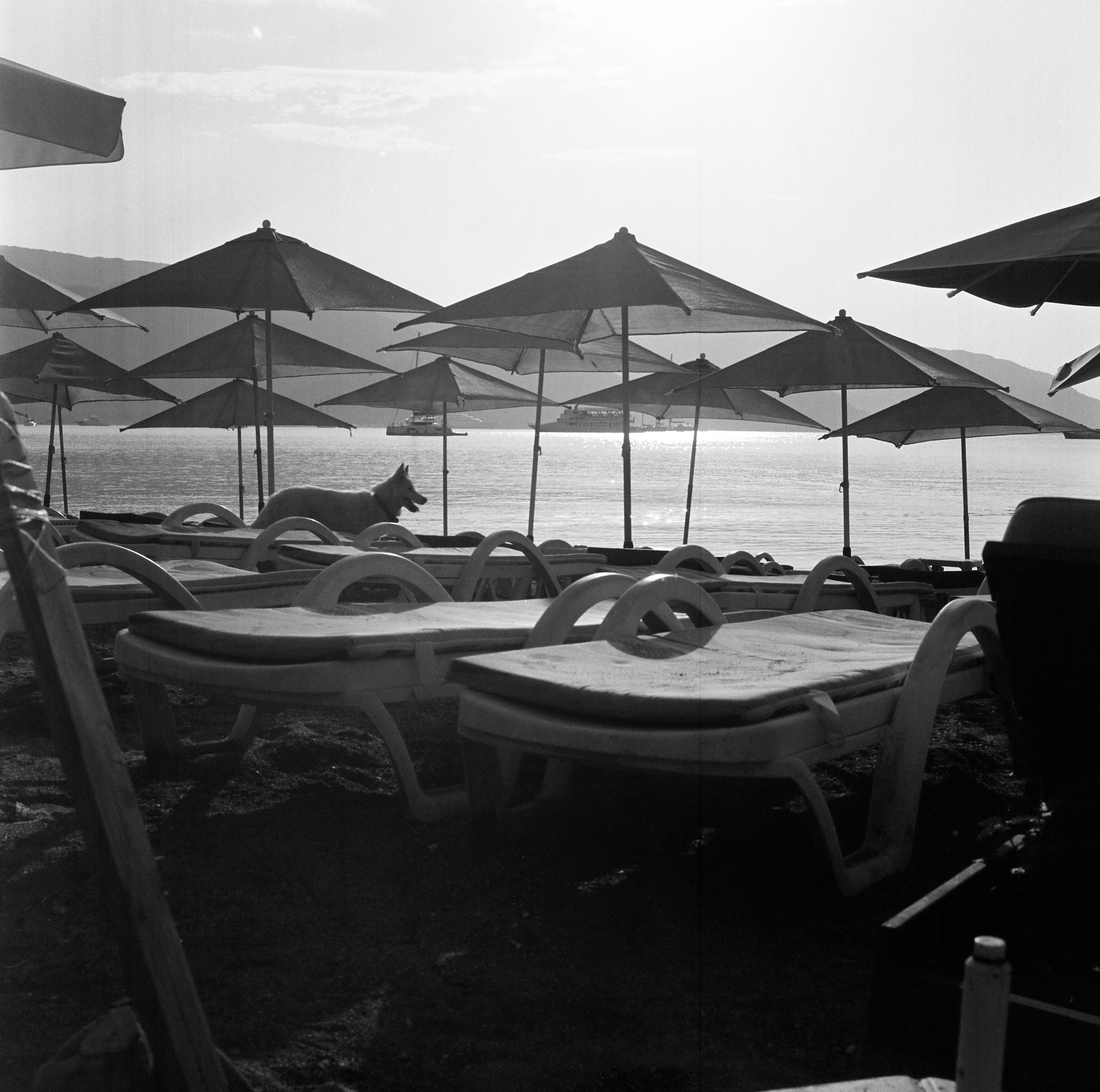 Турция, Разные Регионы. Елена Никитина. Фотохудожник. Пленочная фотография. Принты