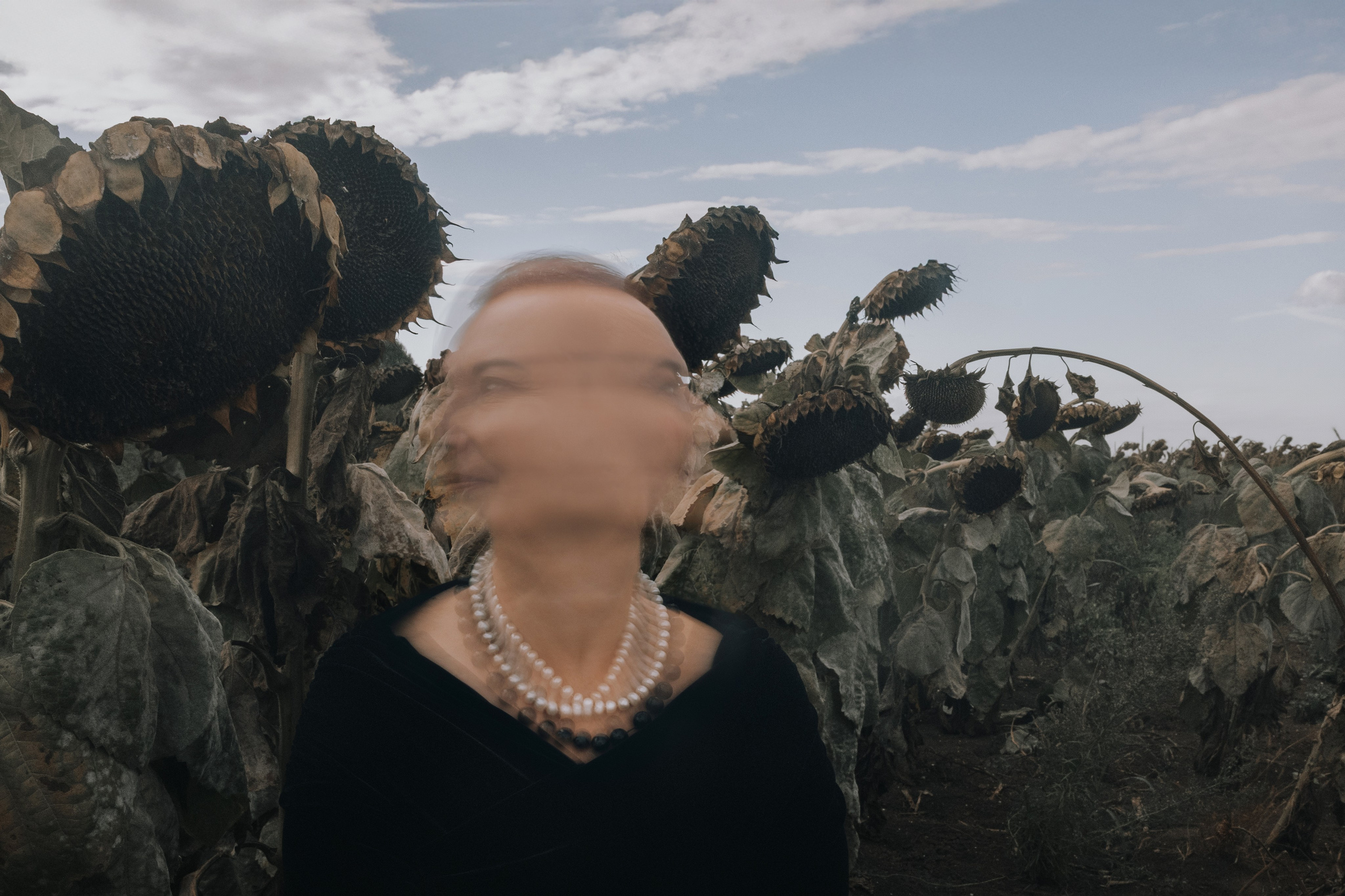 Подсолнухи. Арт фотограф в Белграде Парфенова Екатерина