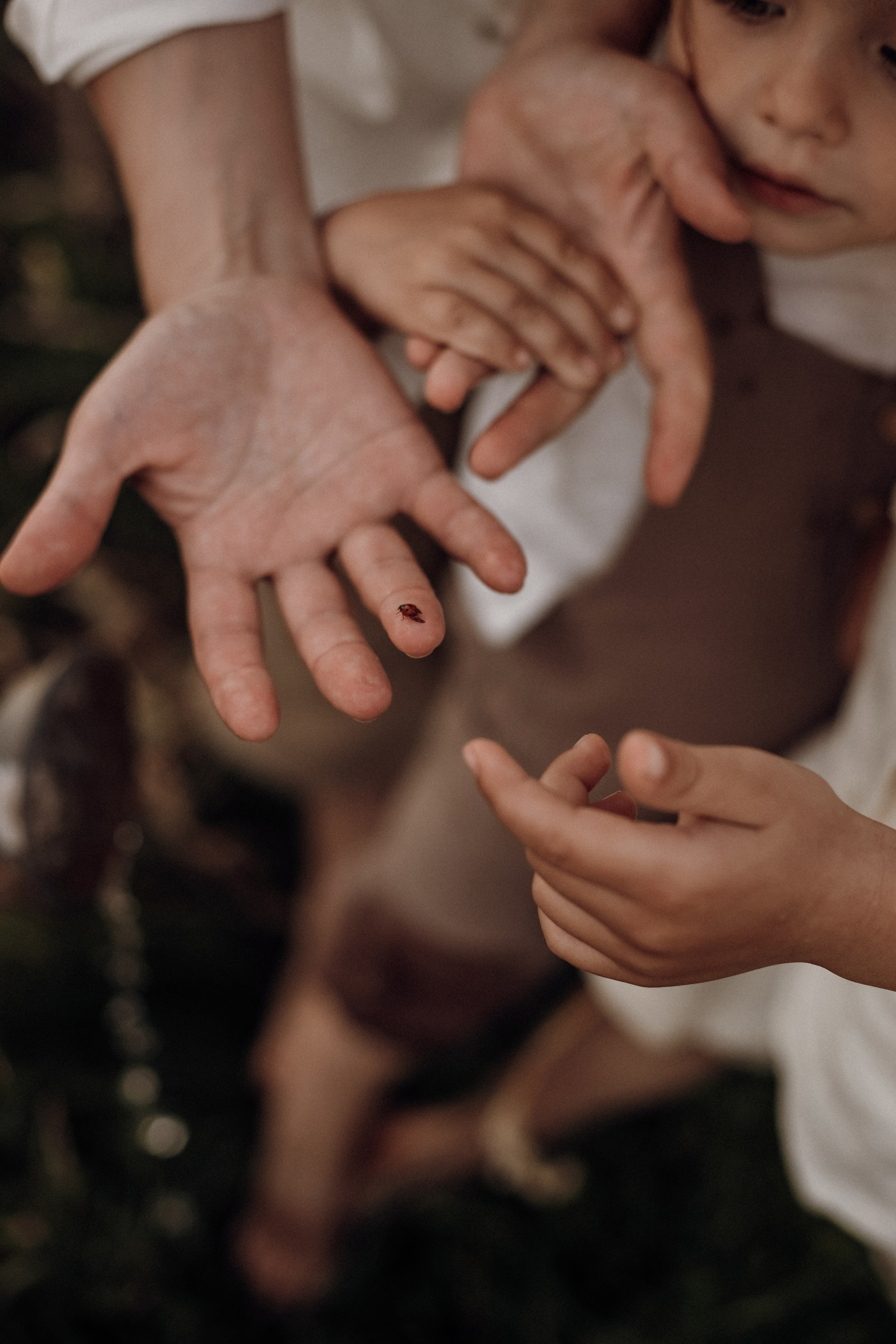 Один летний день. Семейный фотограф в Брянске Зурилина Екатерина