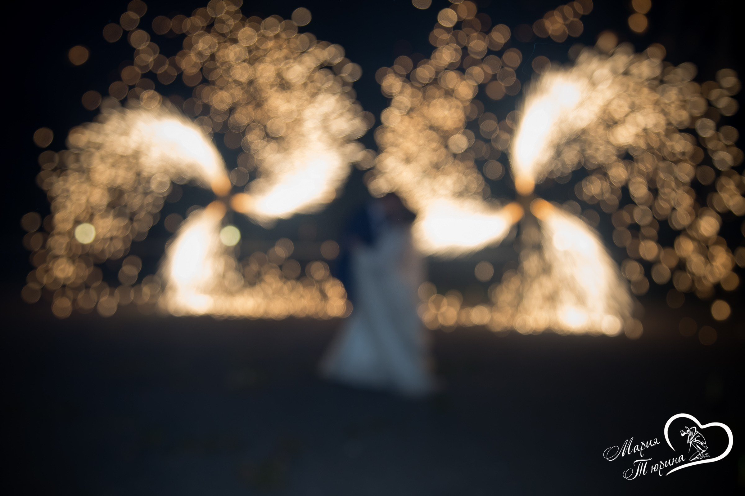 Банкет. Свадебная фотосъёмка в Москве, Туле