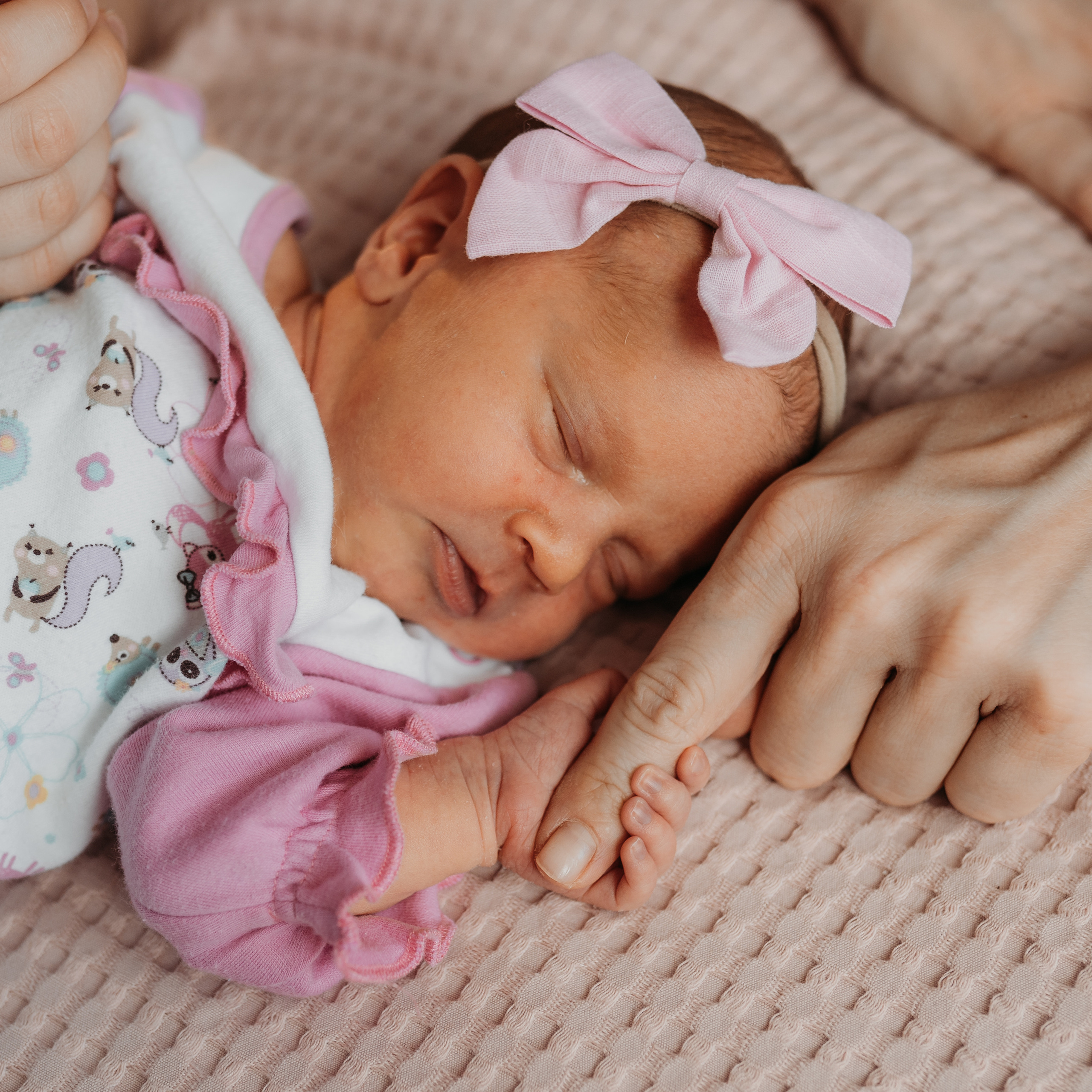 New born/ съемка новорожденных. Семейный и свадебный фотограф в Москве Виктория Махова