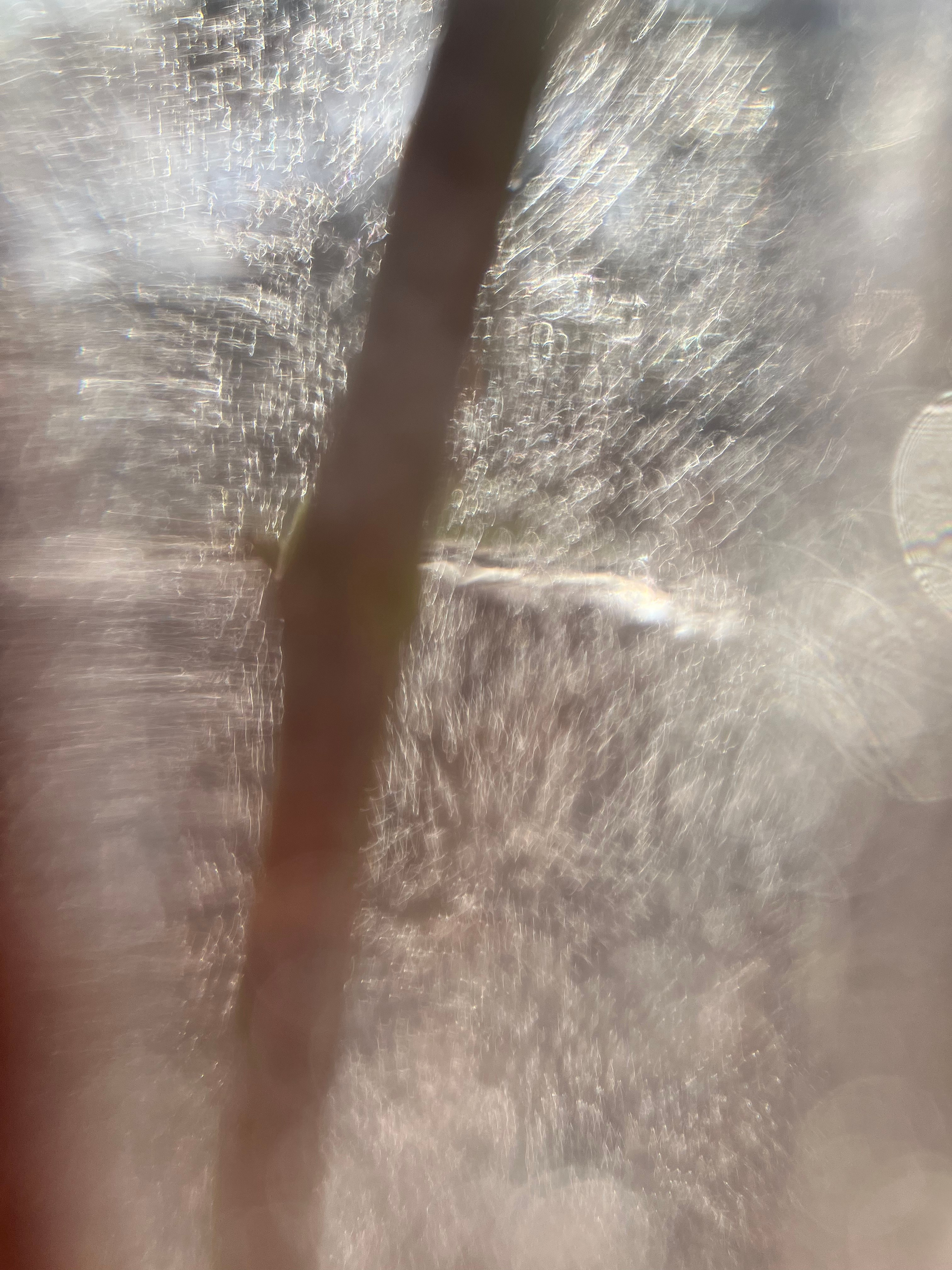 Fragments. Artem Khusainov