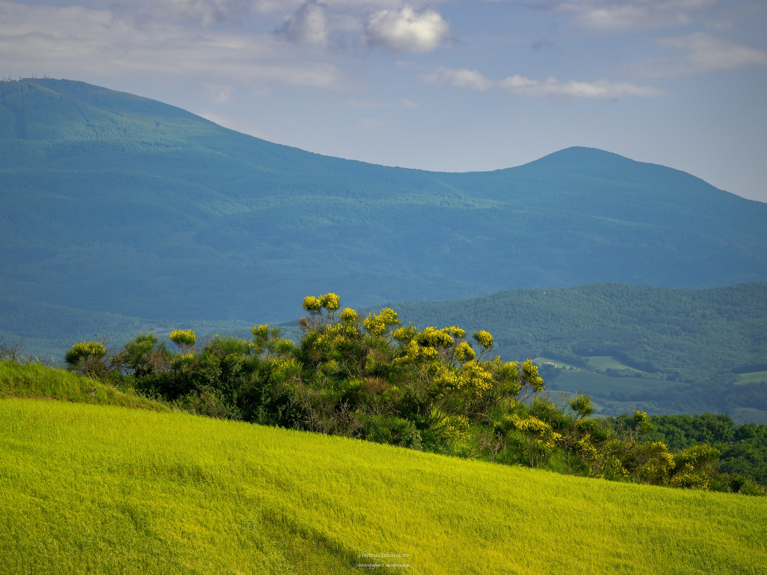 Великолепная Тоскана. Авторские стильные фотокартины