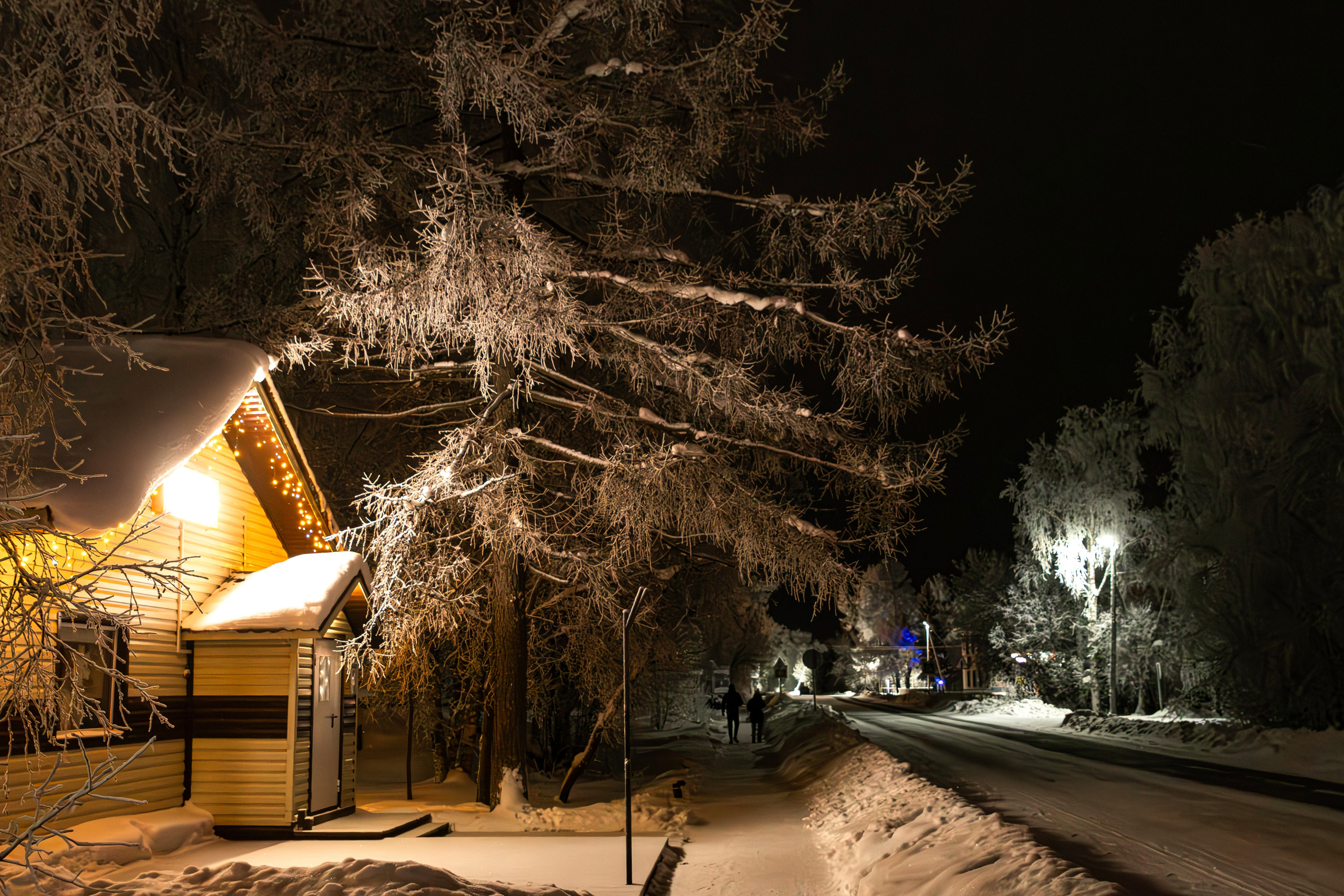 Деревенские зарисовки. Фотограф в с. Ижма Республика Коми Терентьев Сергей