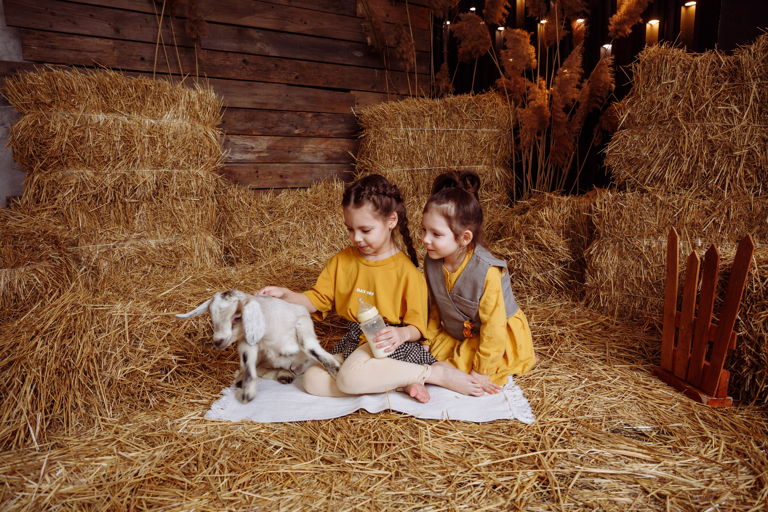 Козлик 2025. Фотограф новорожденных Тверь Диана Муляева