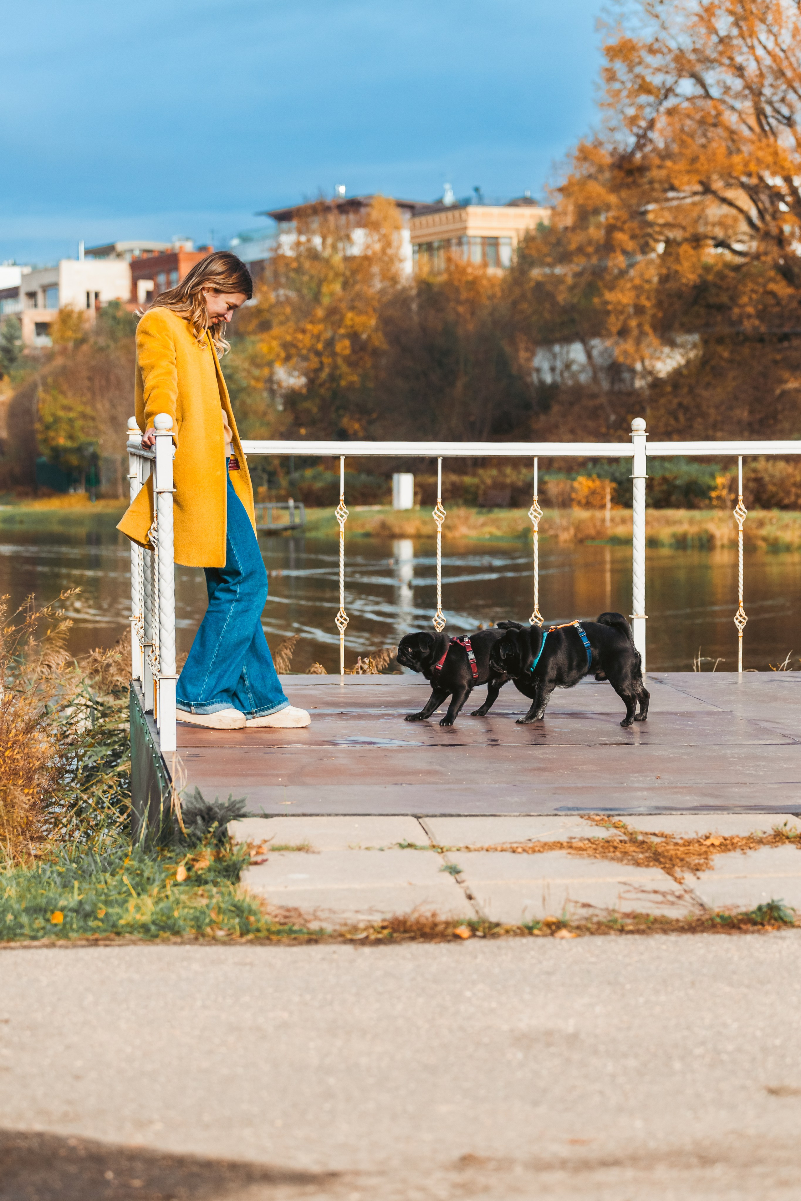 Оля, Харви, Луис. Фотограф-анималист Татьяна Степанова