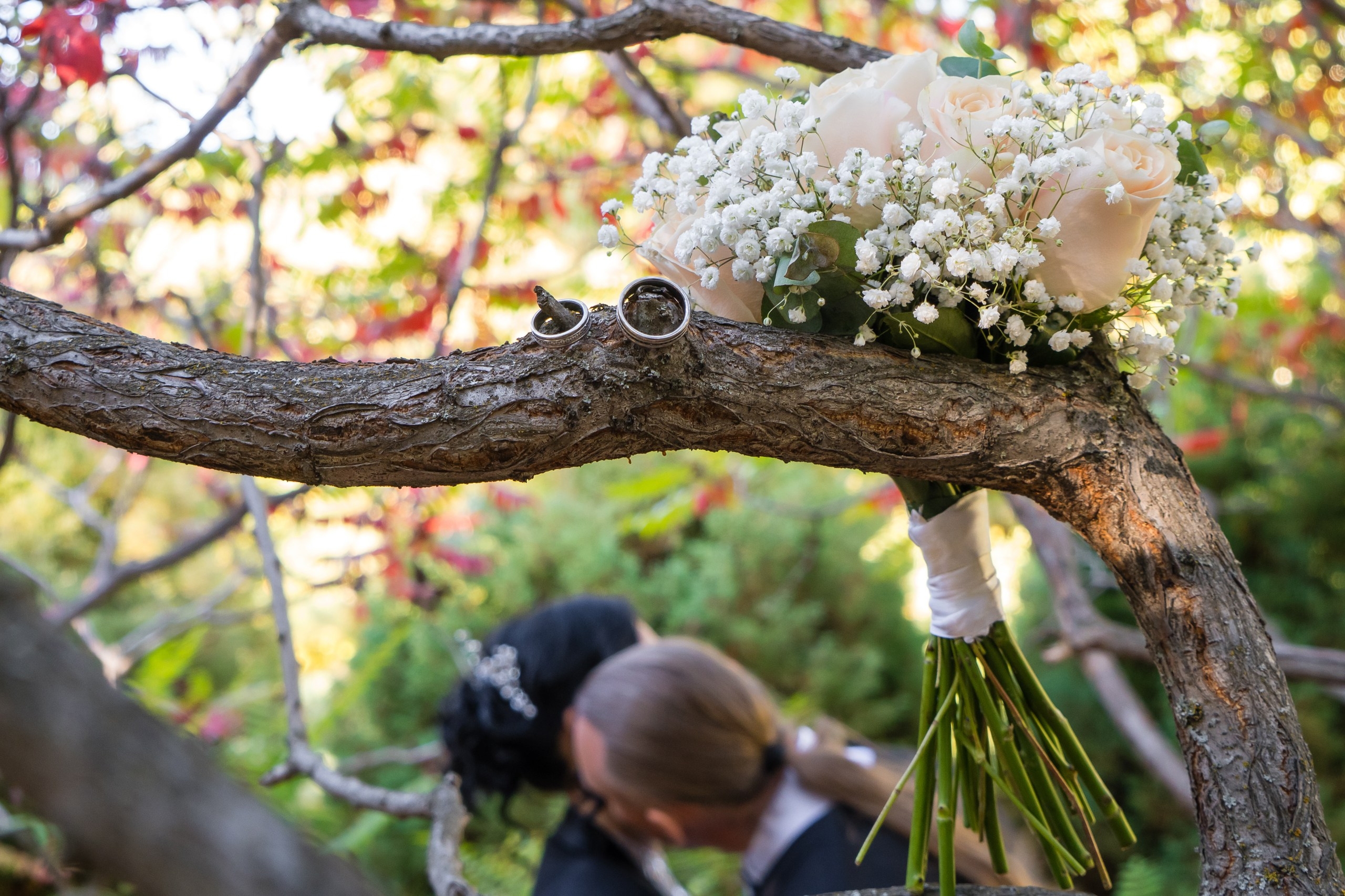 Ксения и Александр: поженились и погуляли в парке санатория Горная поляна. Событийный фотограф Максим Бескоровайновнов