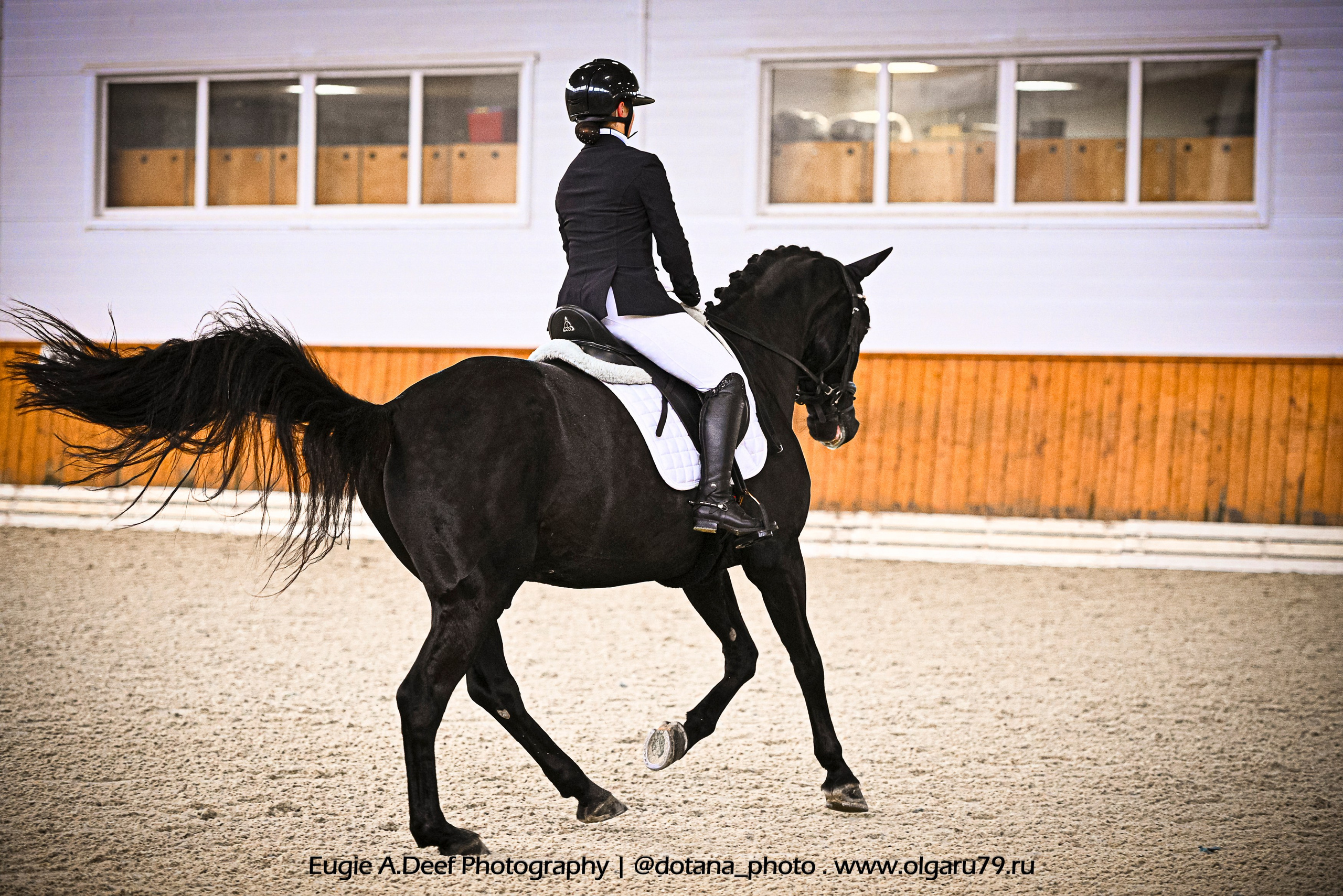 2025.10.19 — КСК Конкорд — выездка. ТУРНИРНАЯ КОННАЯ ФОТОГРАФИЯ, Руднева Ольга и Евгений Адеев