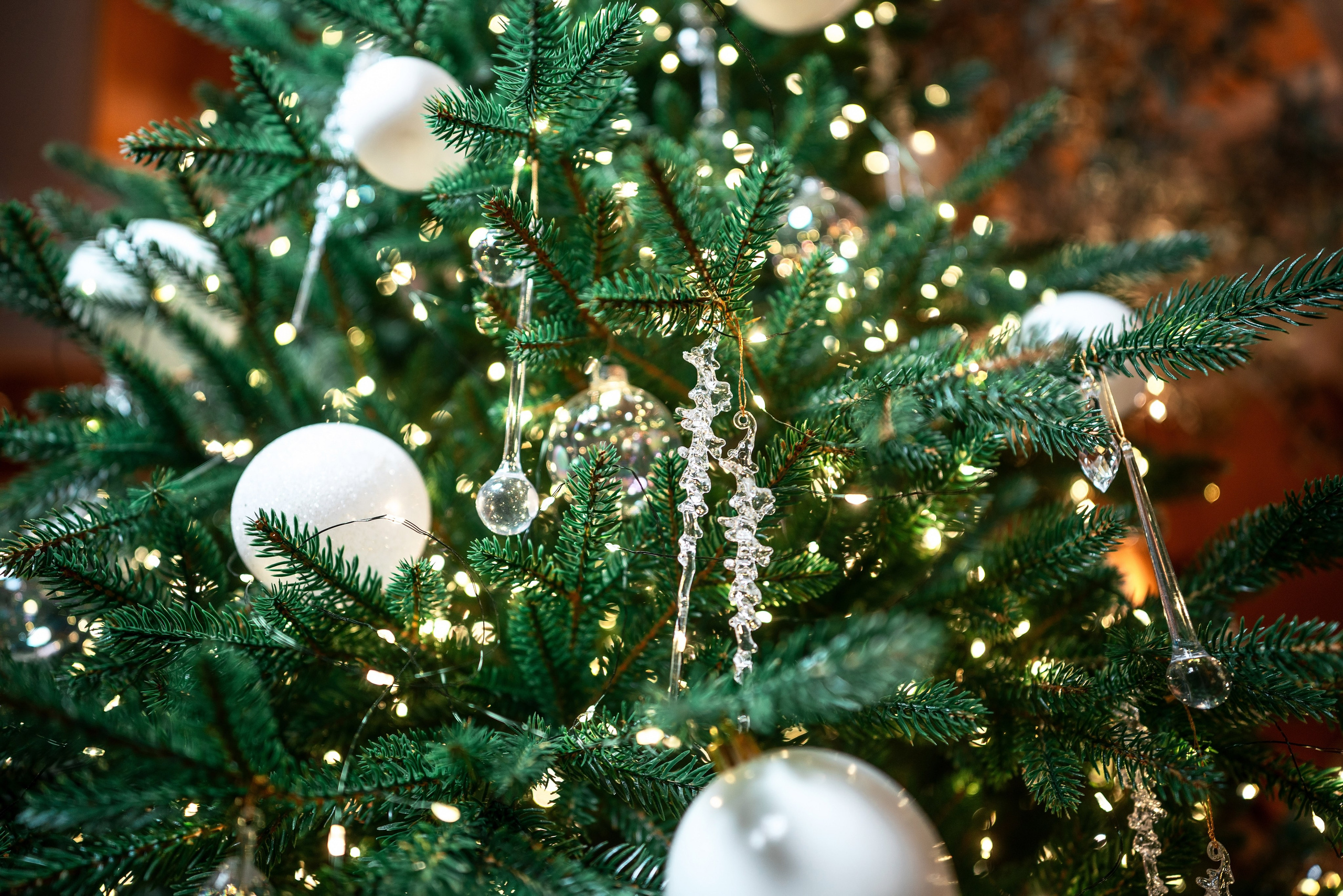 Фотограф в Сочи на день рождение. Фотограф Сочи