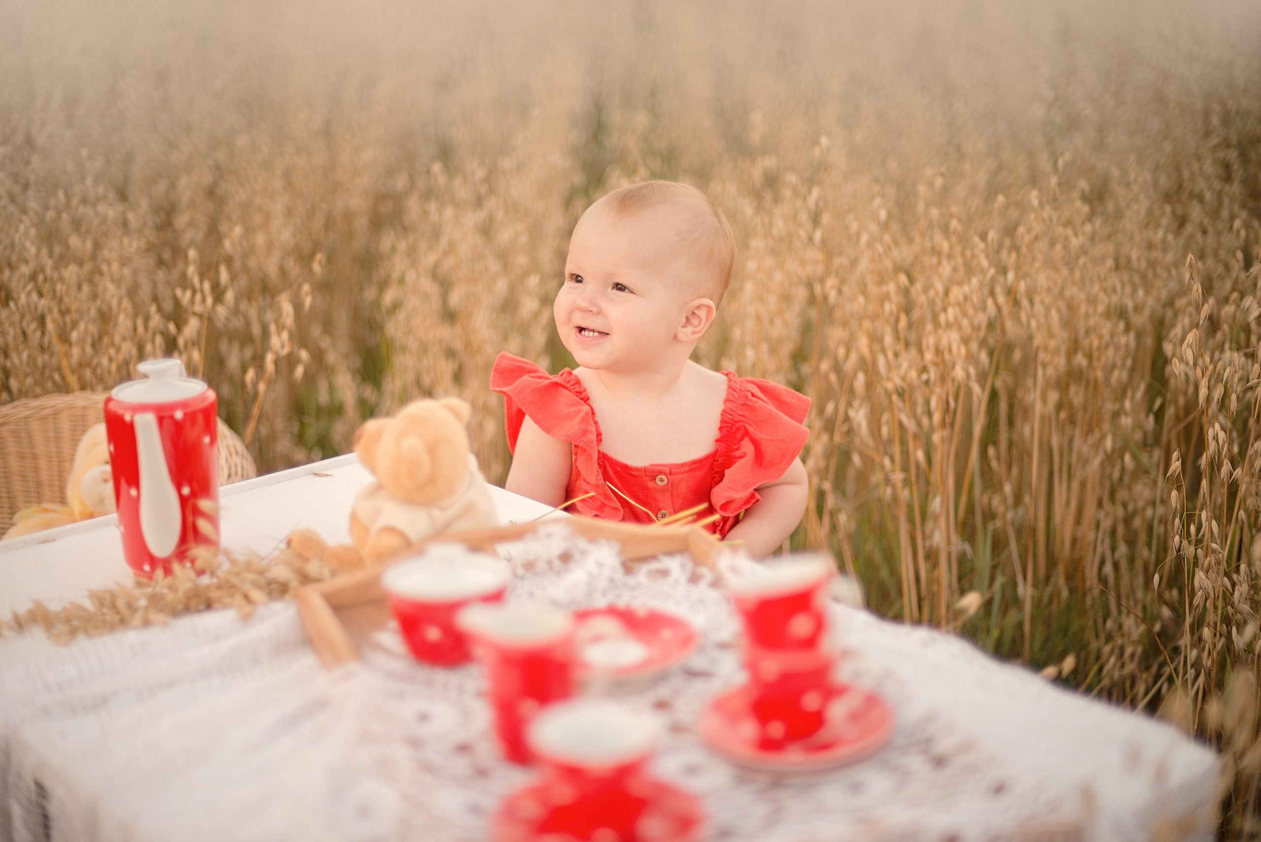Чаепитие с медведем. Фотограф Москва — Серпухов — Таруса Ольга Кокеткина