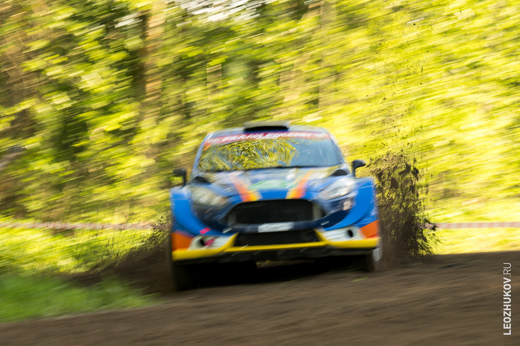 Rally Pushkinskie gory 2025. Sports photographer Leonid Zhukov