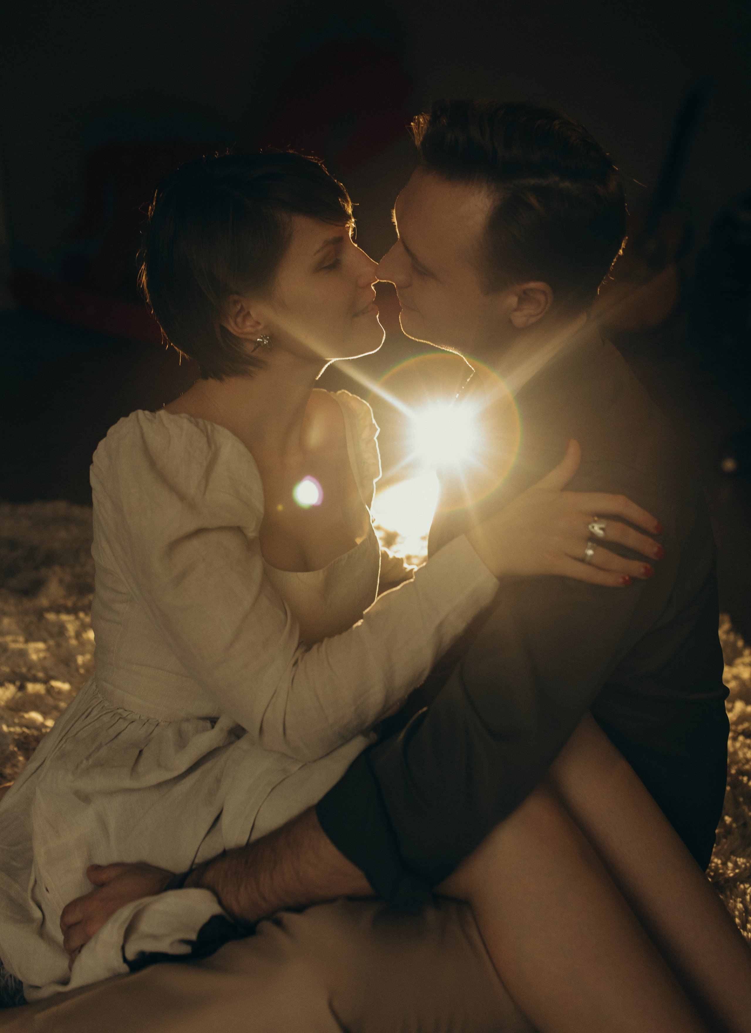 Домашняя история. Meryfotoidea