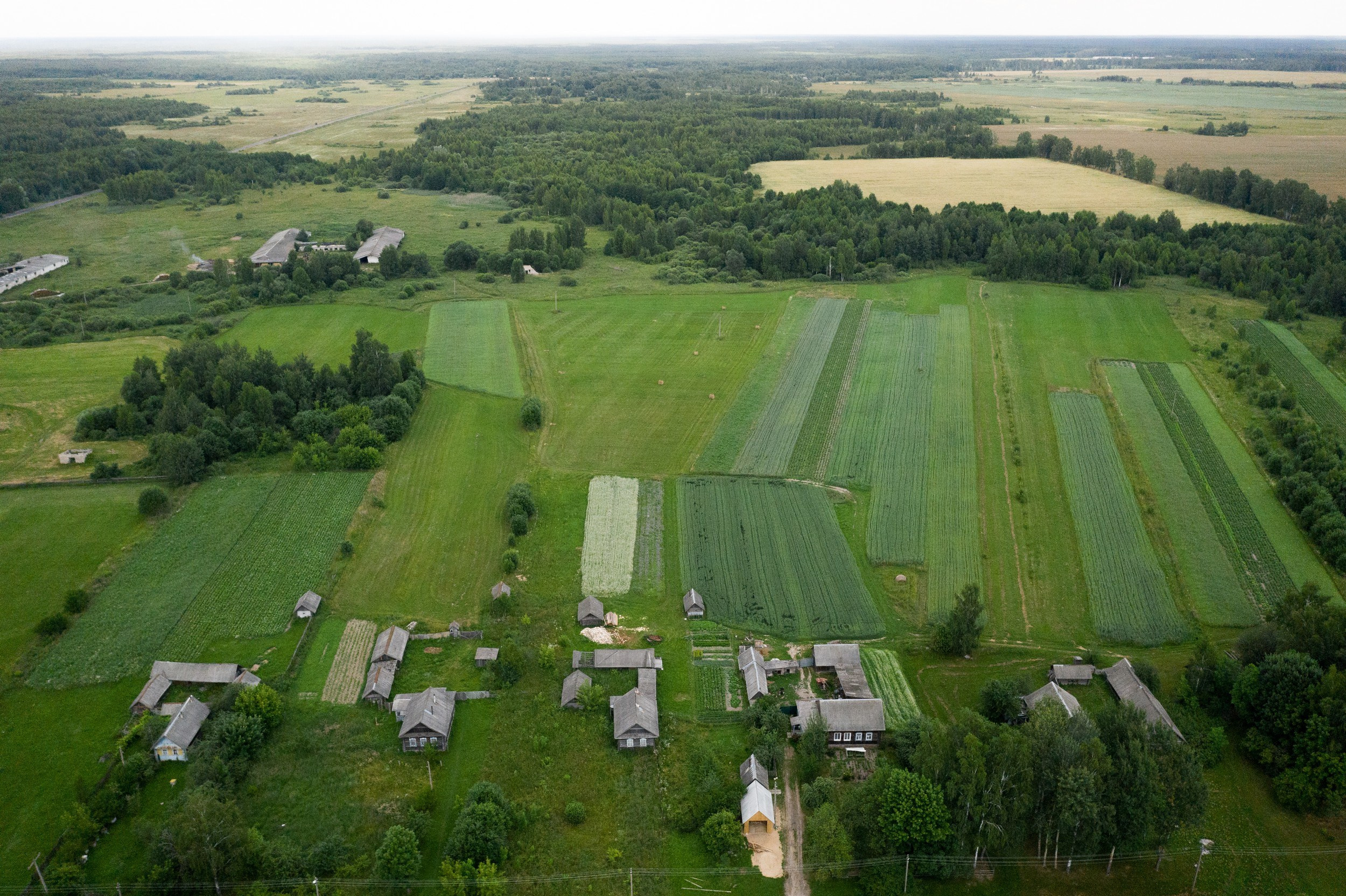 Home.land. Künstler Verstecktoff