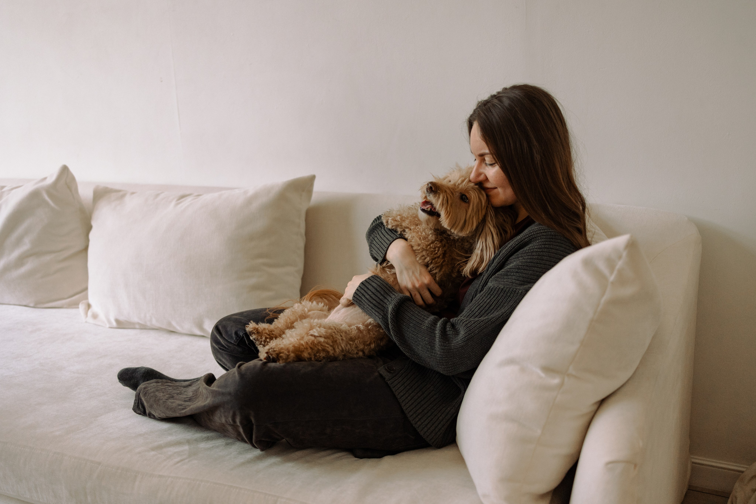 Шкипер и его семья. Фотограф — Анималист | Санкт-Петербург