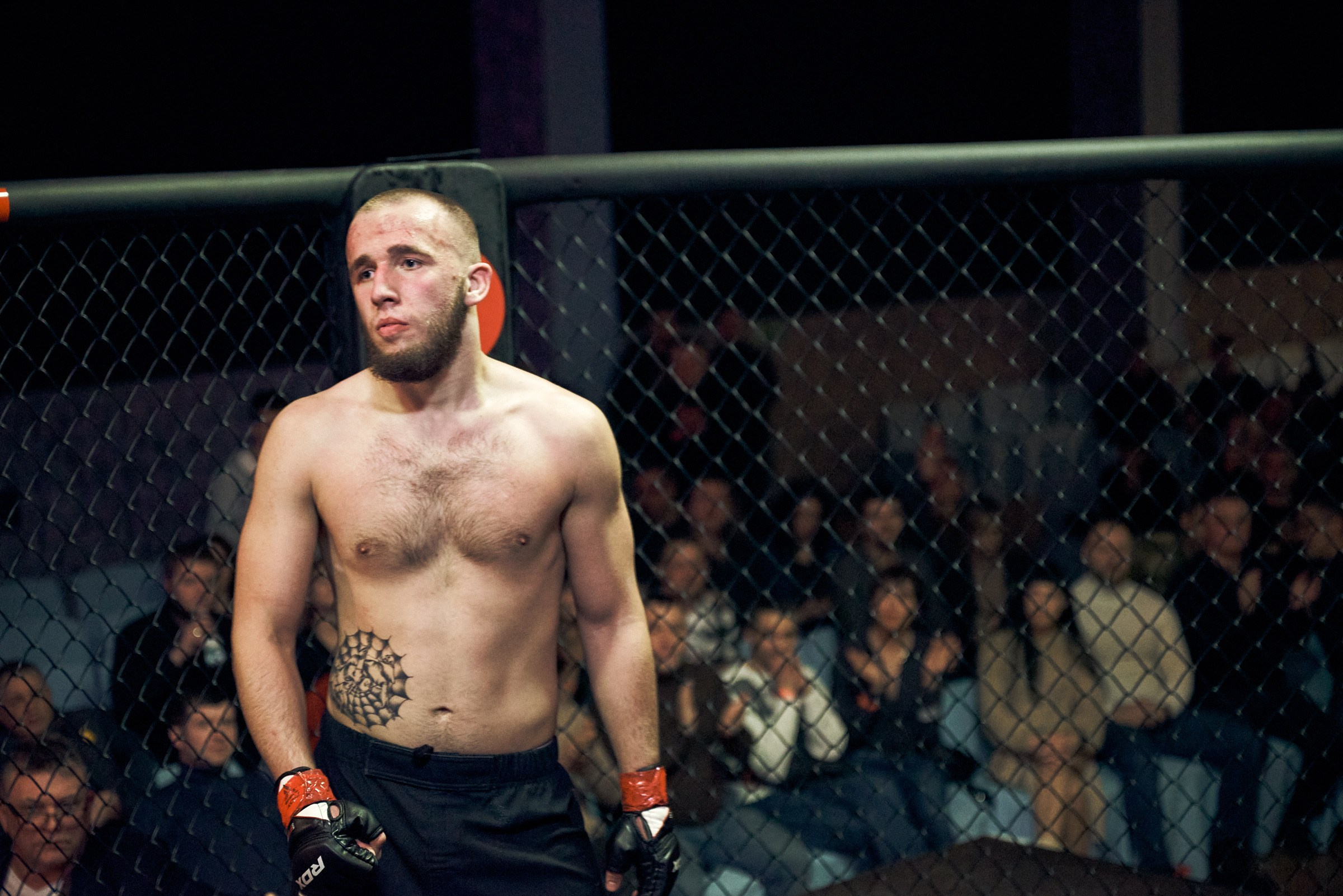 Бои. Маляревич Дмитрий свадебный фотограф