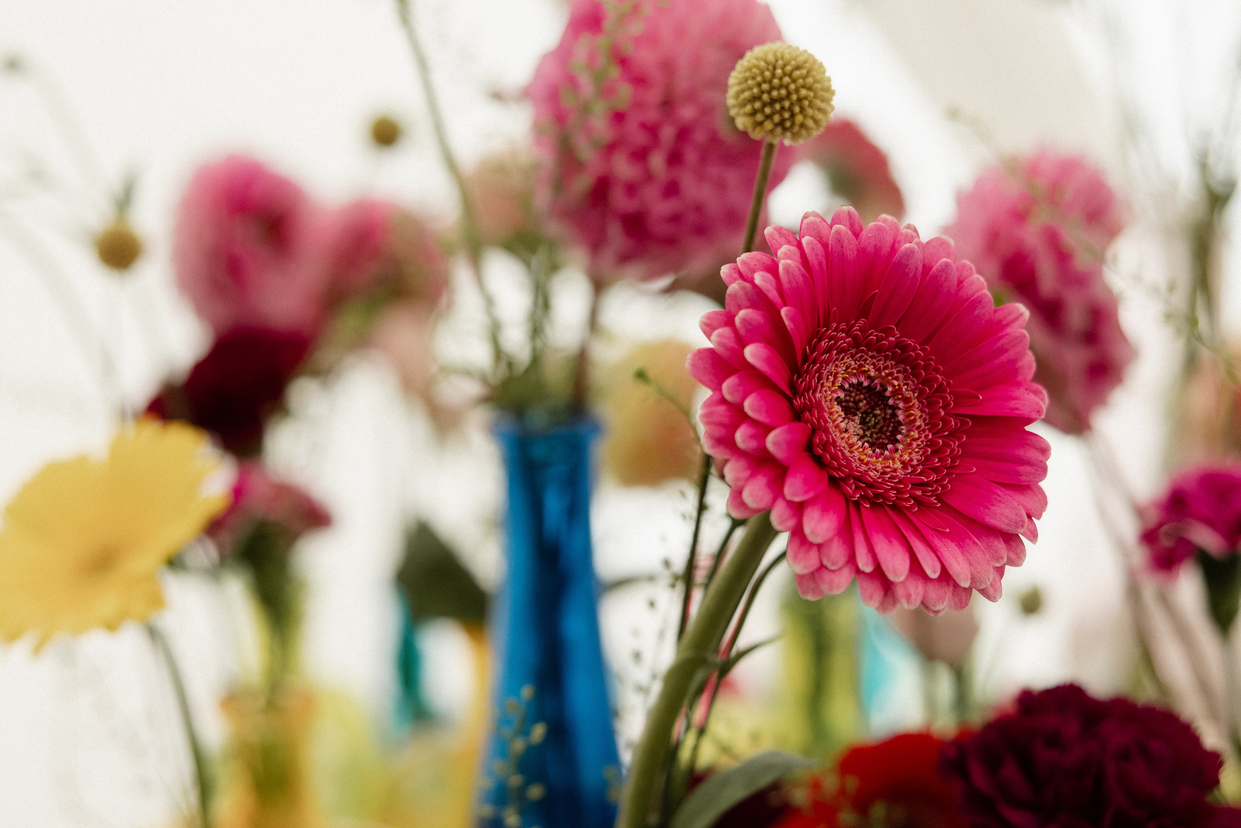 Свадебная фотосессия в Москве