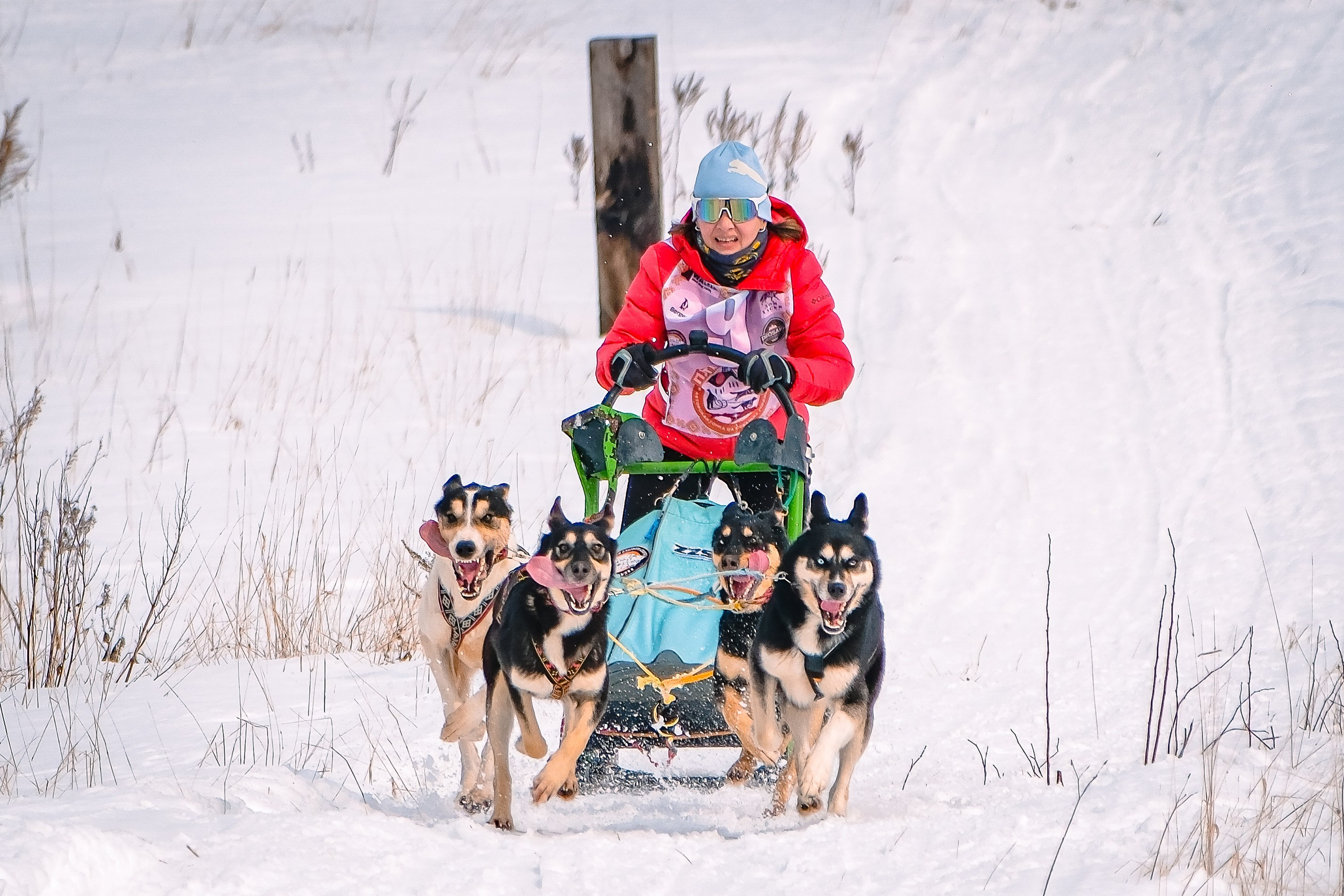 Фотограф. г. Южно-Сахалинск. Олег Толстов