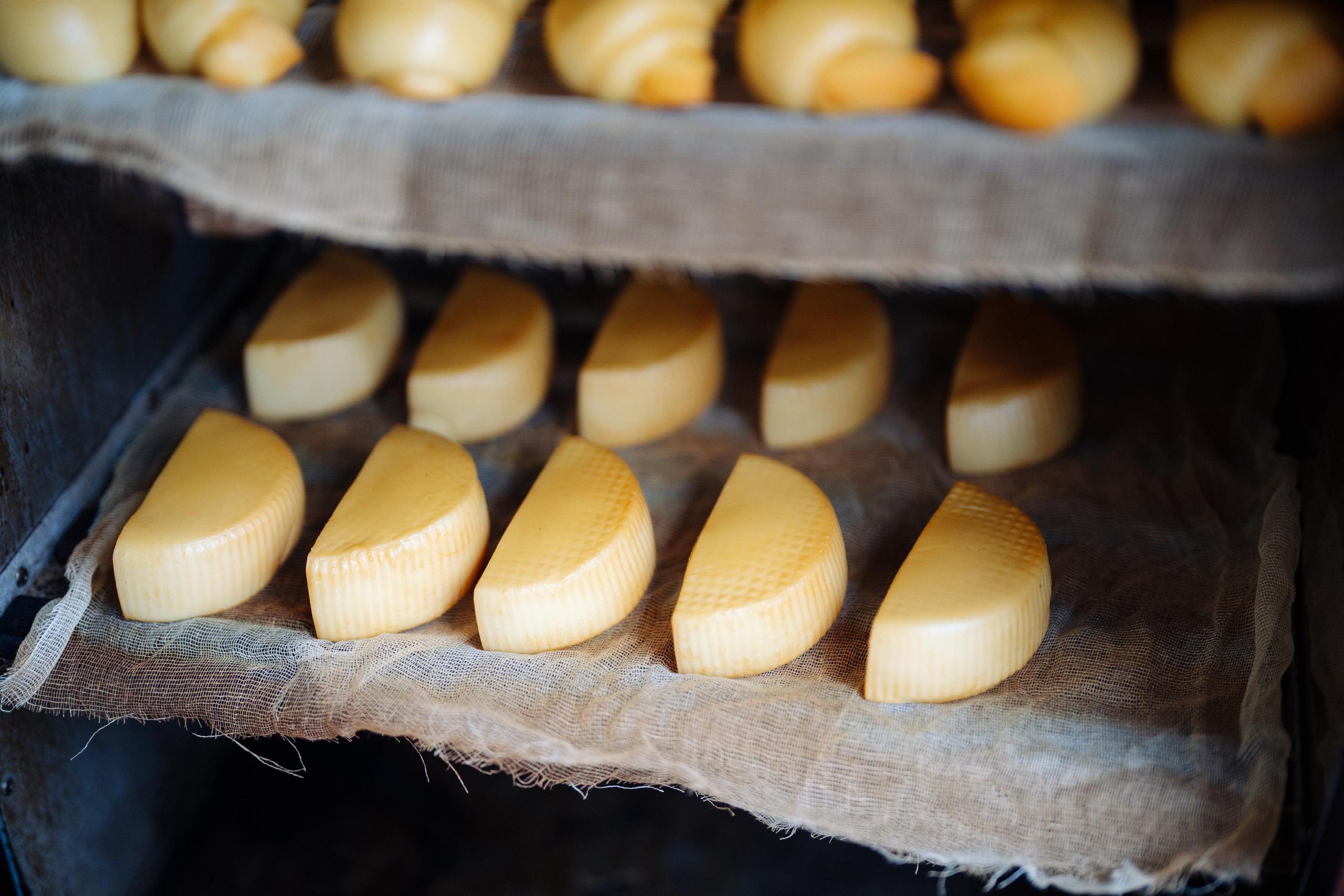 Сюжет № 7|Вопреки привычному