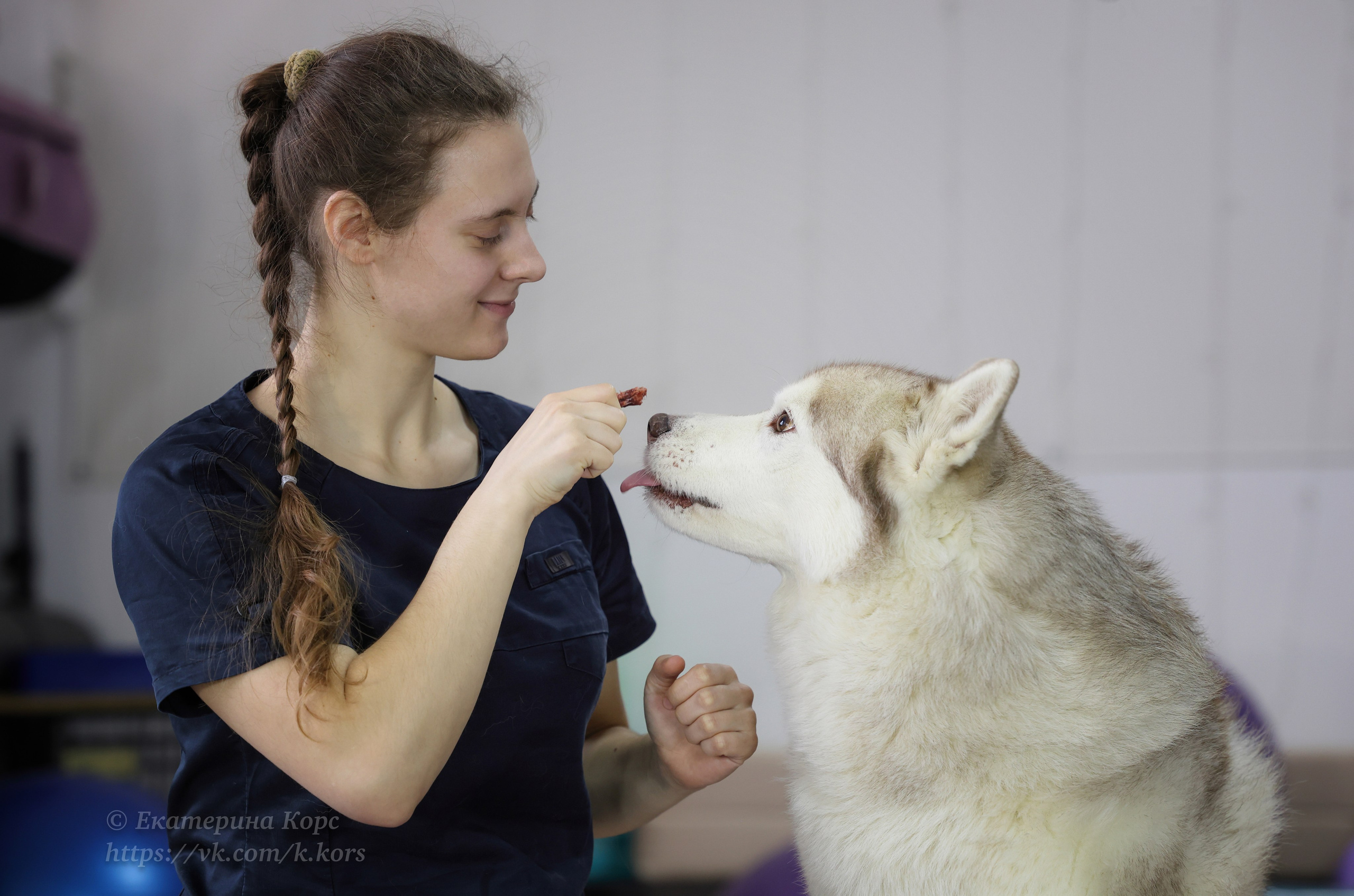 Собаки и люди. Главная