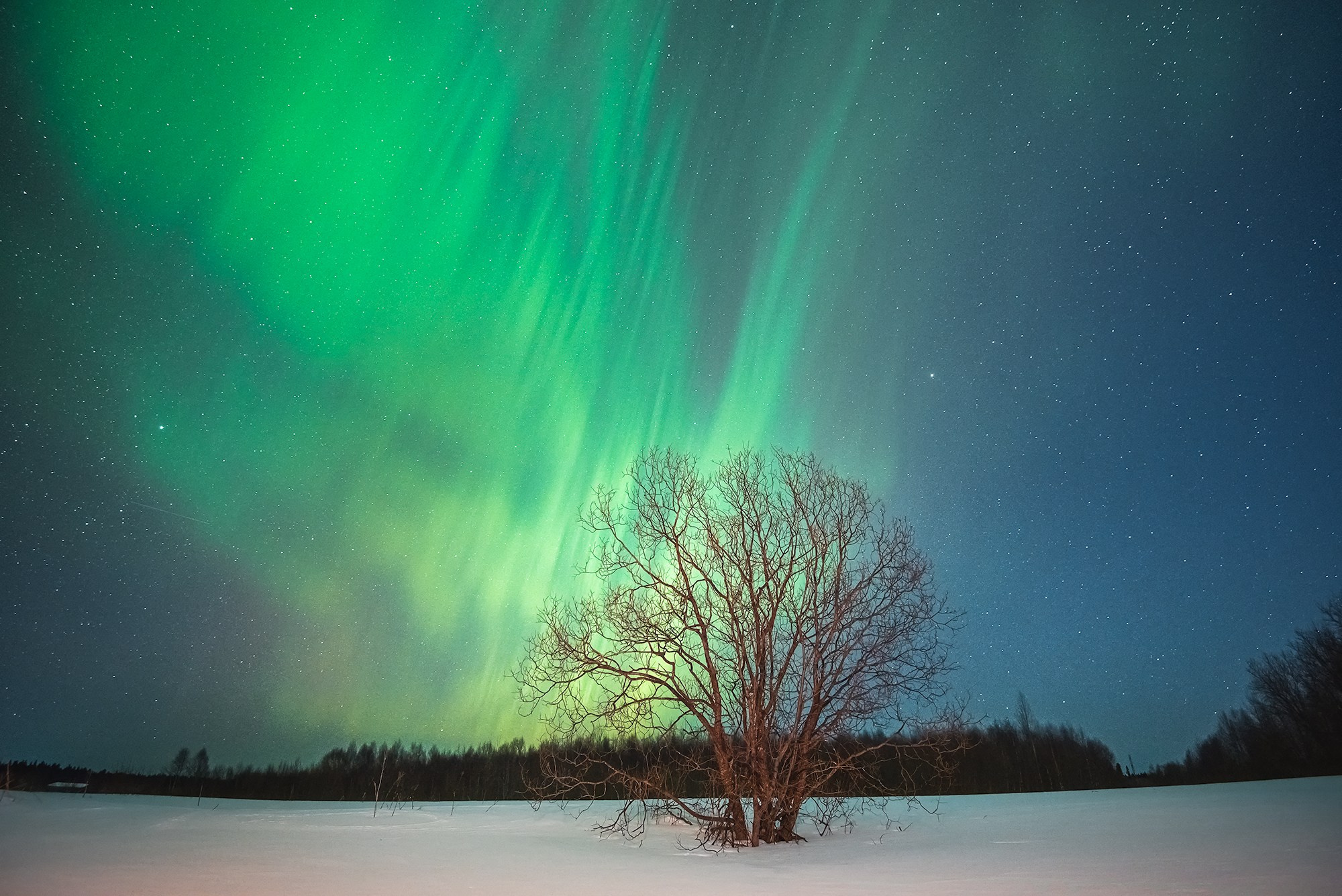 Северное сияние. Аэросъемка в Архангельске, Александр Ермолин