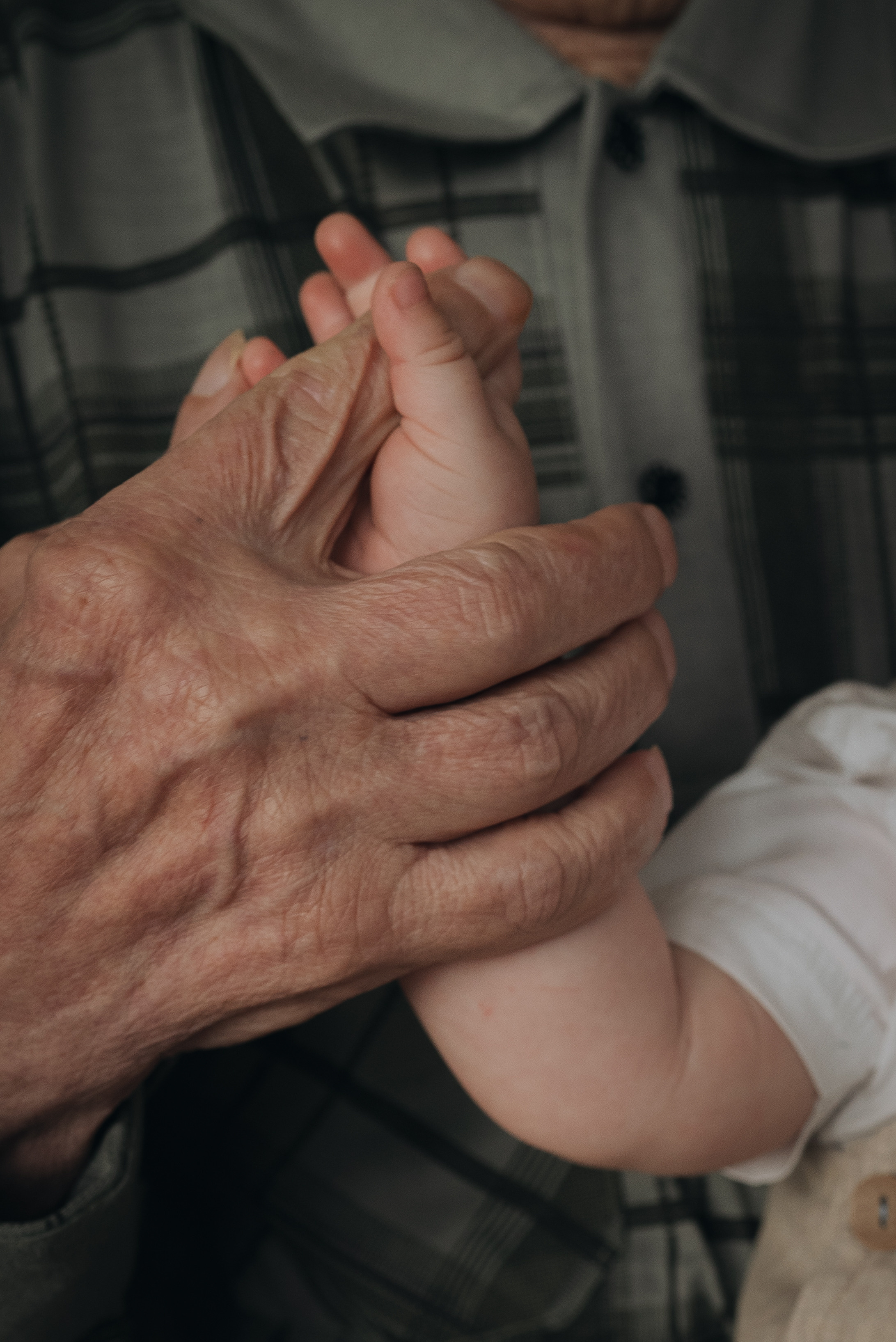 Семья. Ваш свадебный и семейный фотограф