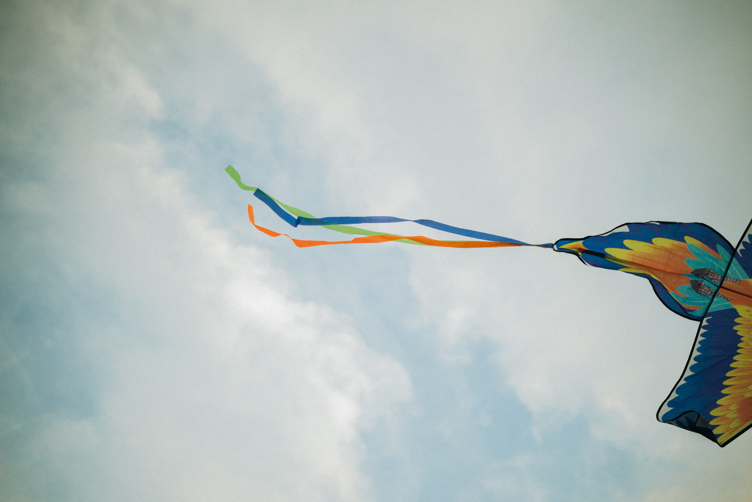 Семья. Ваш свадебный и семейный фотограф