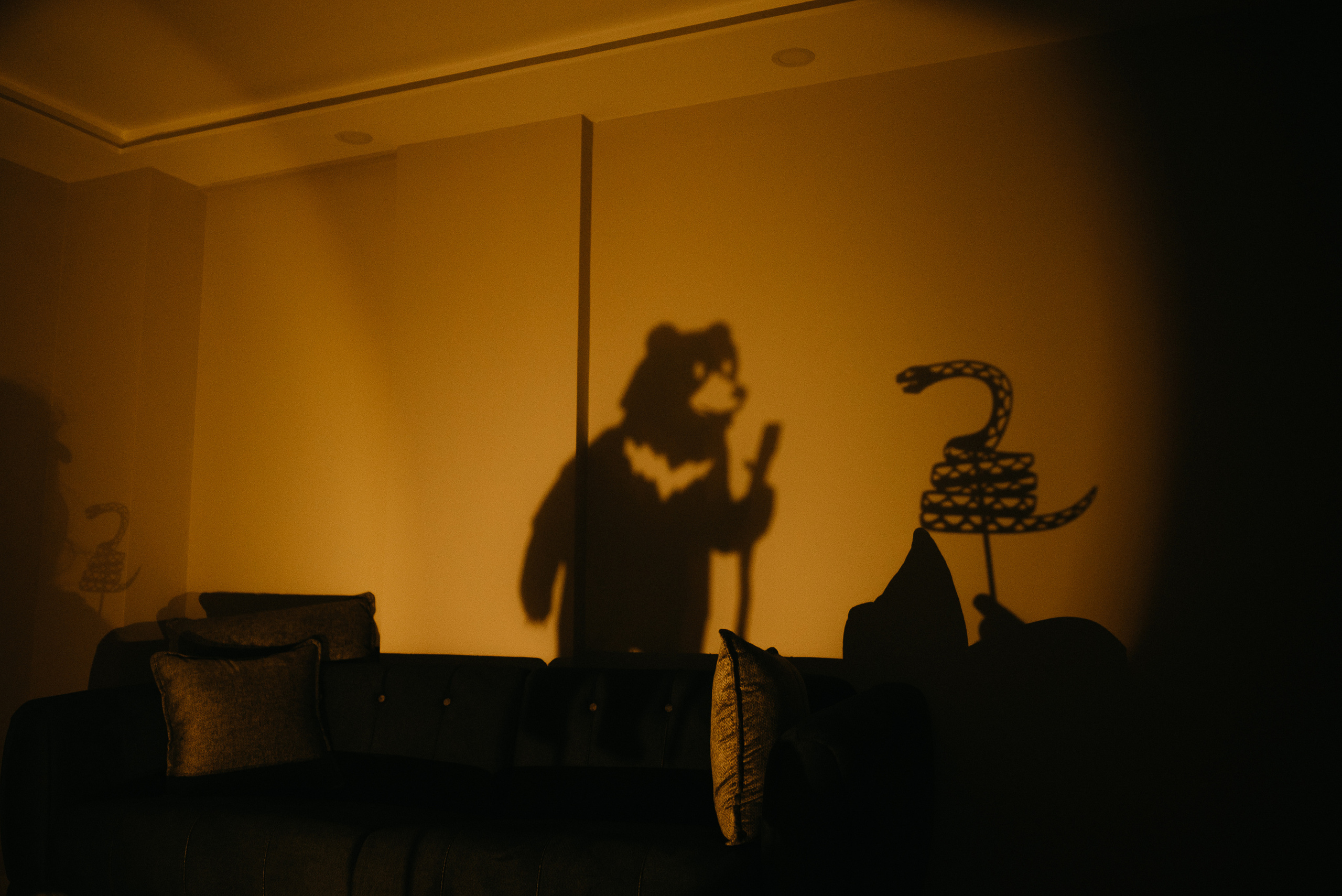 Анастасия, Матвей, Виктория и Даниил. Ваш свадебный и семейный фотограф