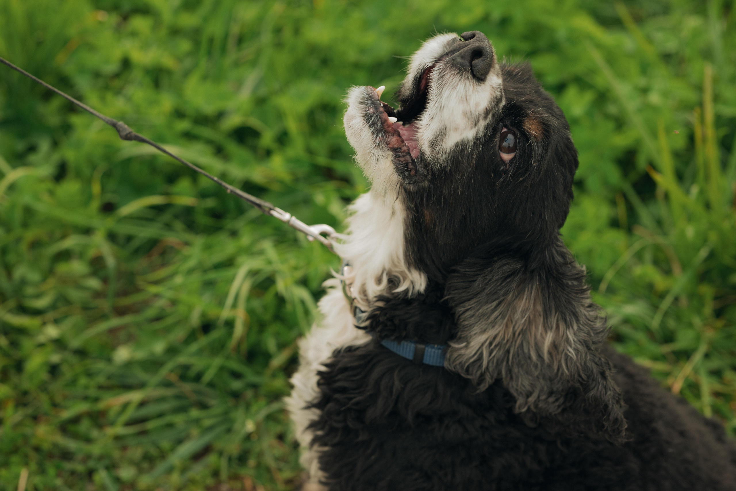 Семья. Ваш свадебный и семейный фотограф