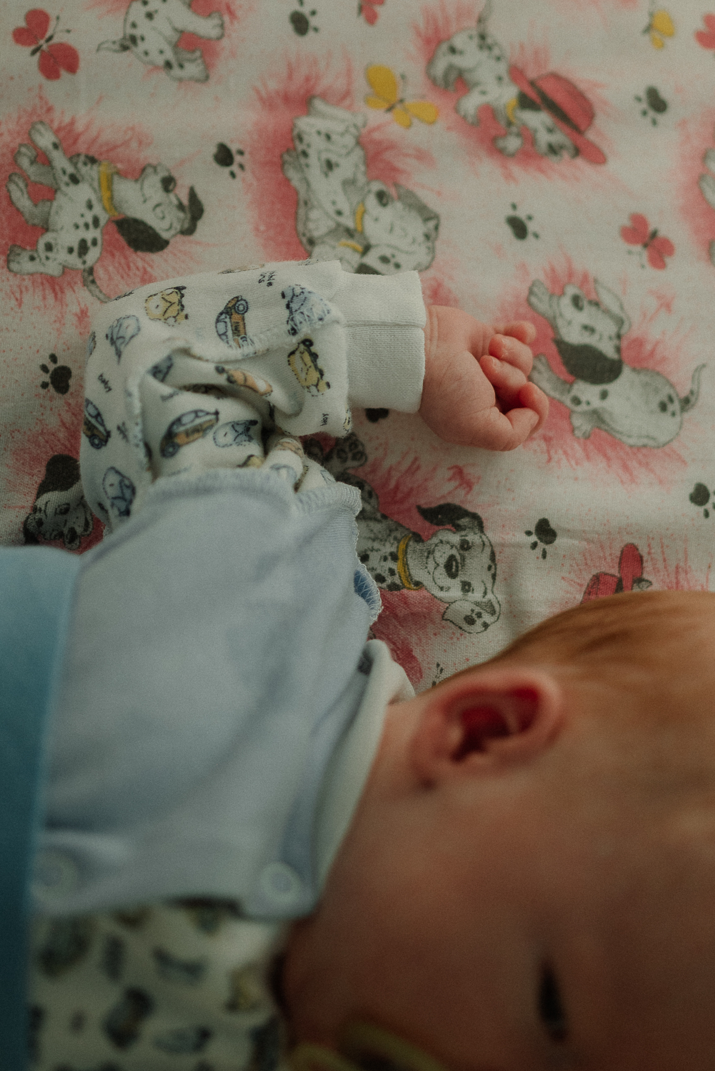 First photos. Ваш свадебный и семейный фотограф