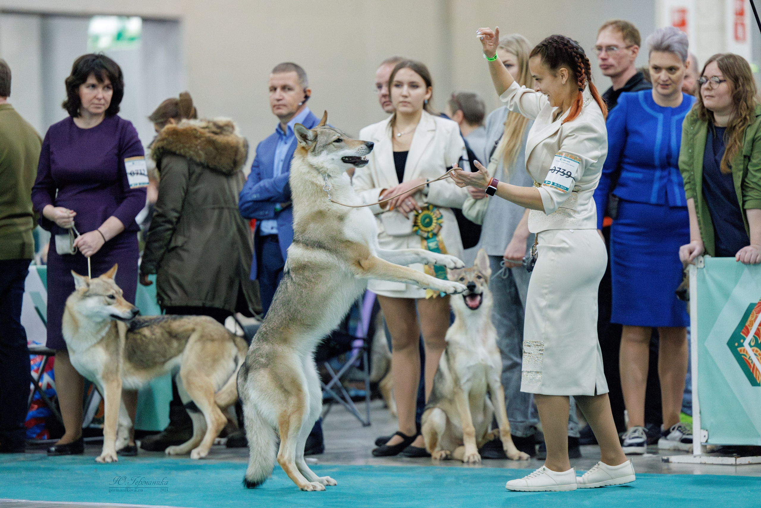Евразия 16-17.11.2024. Фотограф-анималист Юлия Германика