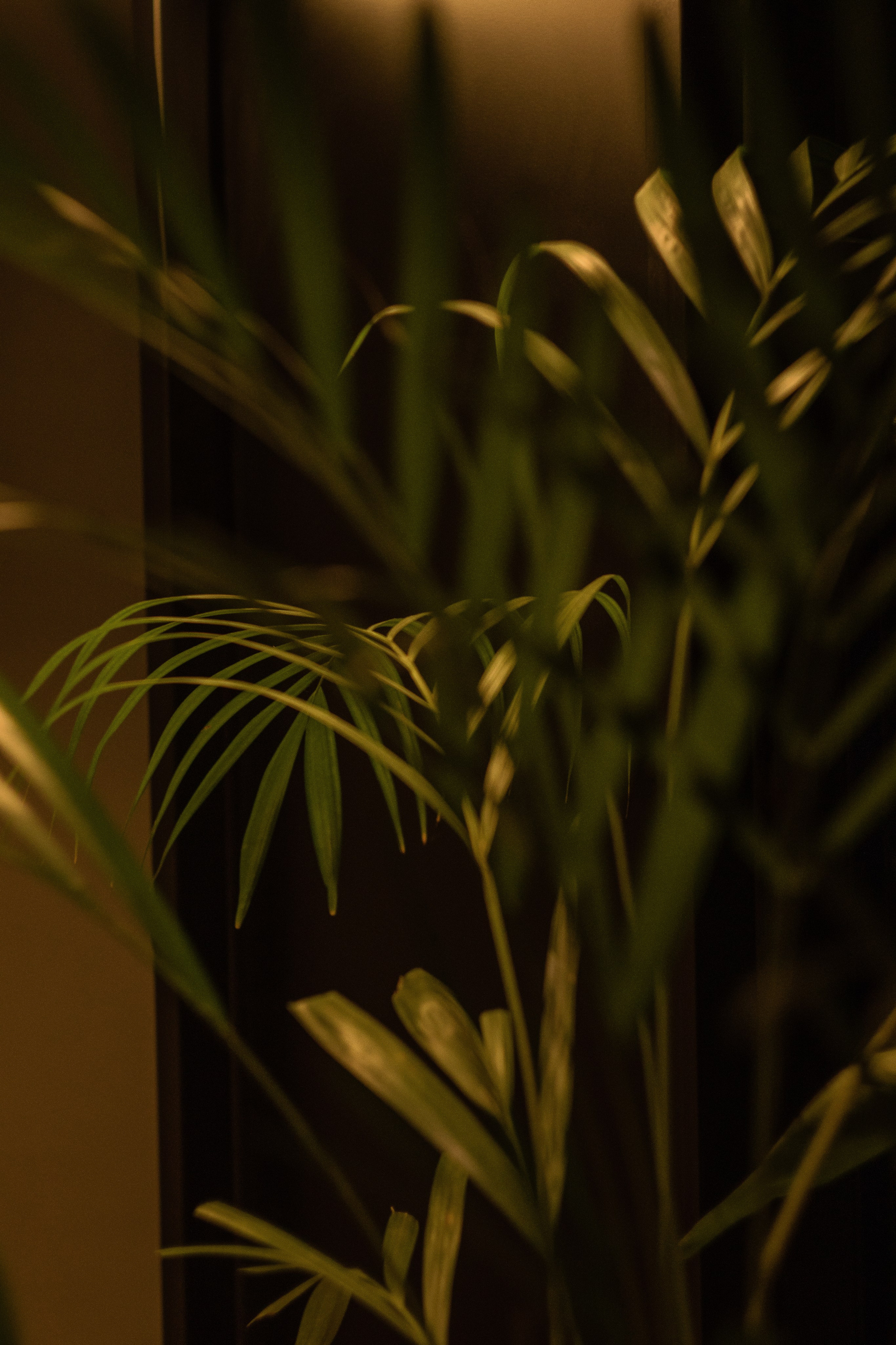 Моменты. Главная