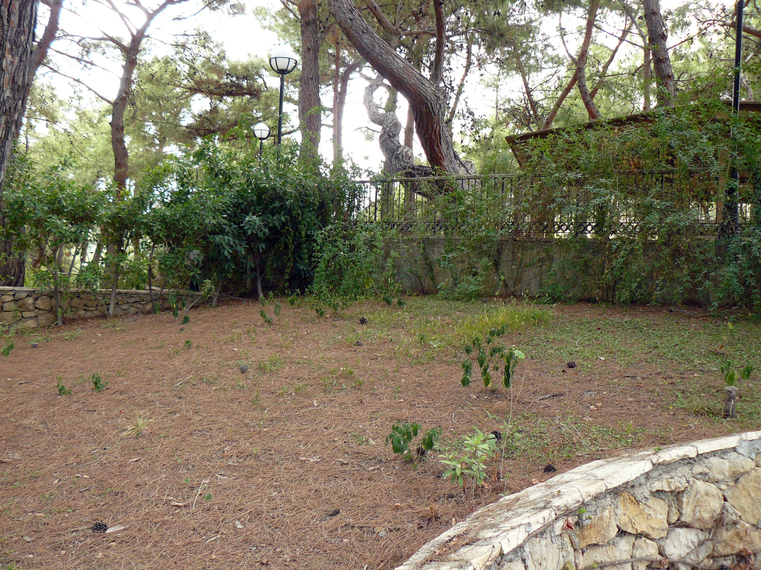 Кемер, Чамьюва 2008. Избранные фотографии