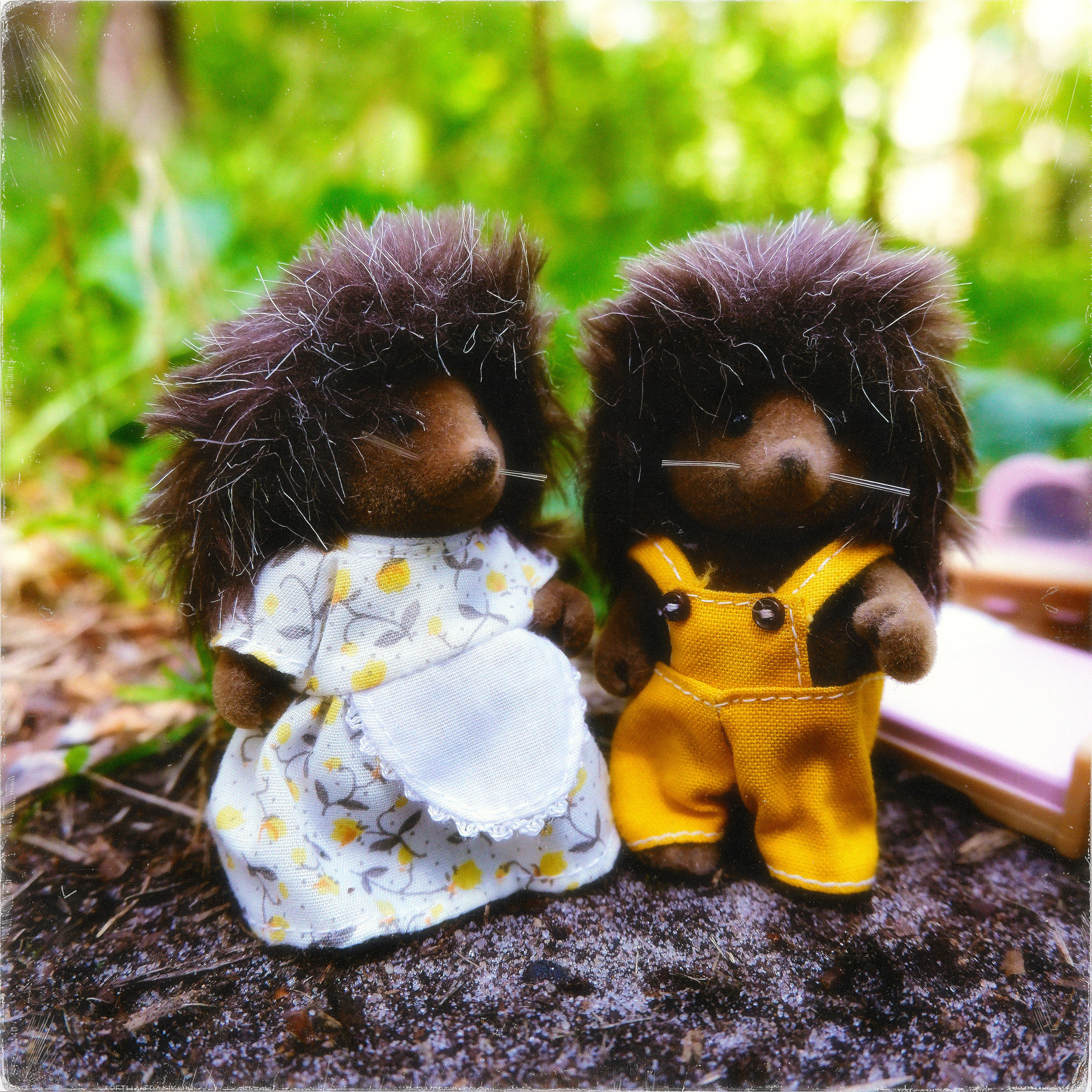 TOYS. ANNA — PHOTOGRAPHER