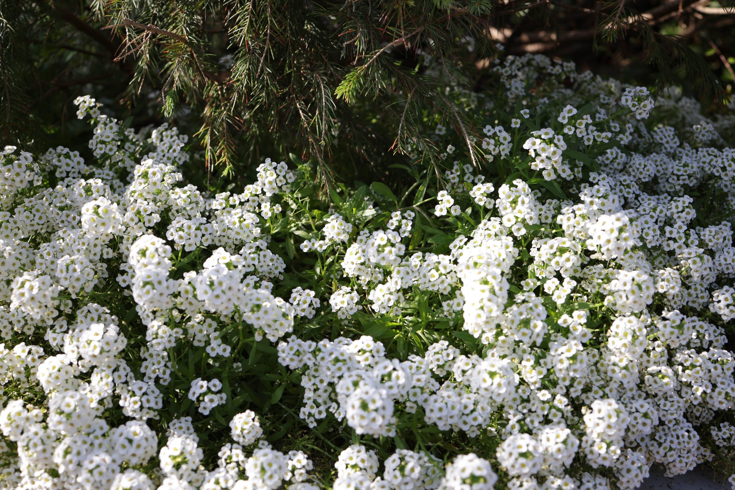 Фото Москвы. Студия Максима Белослюдцева