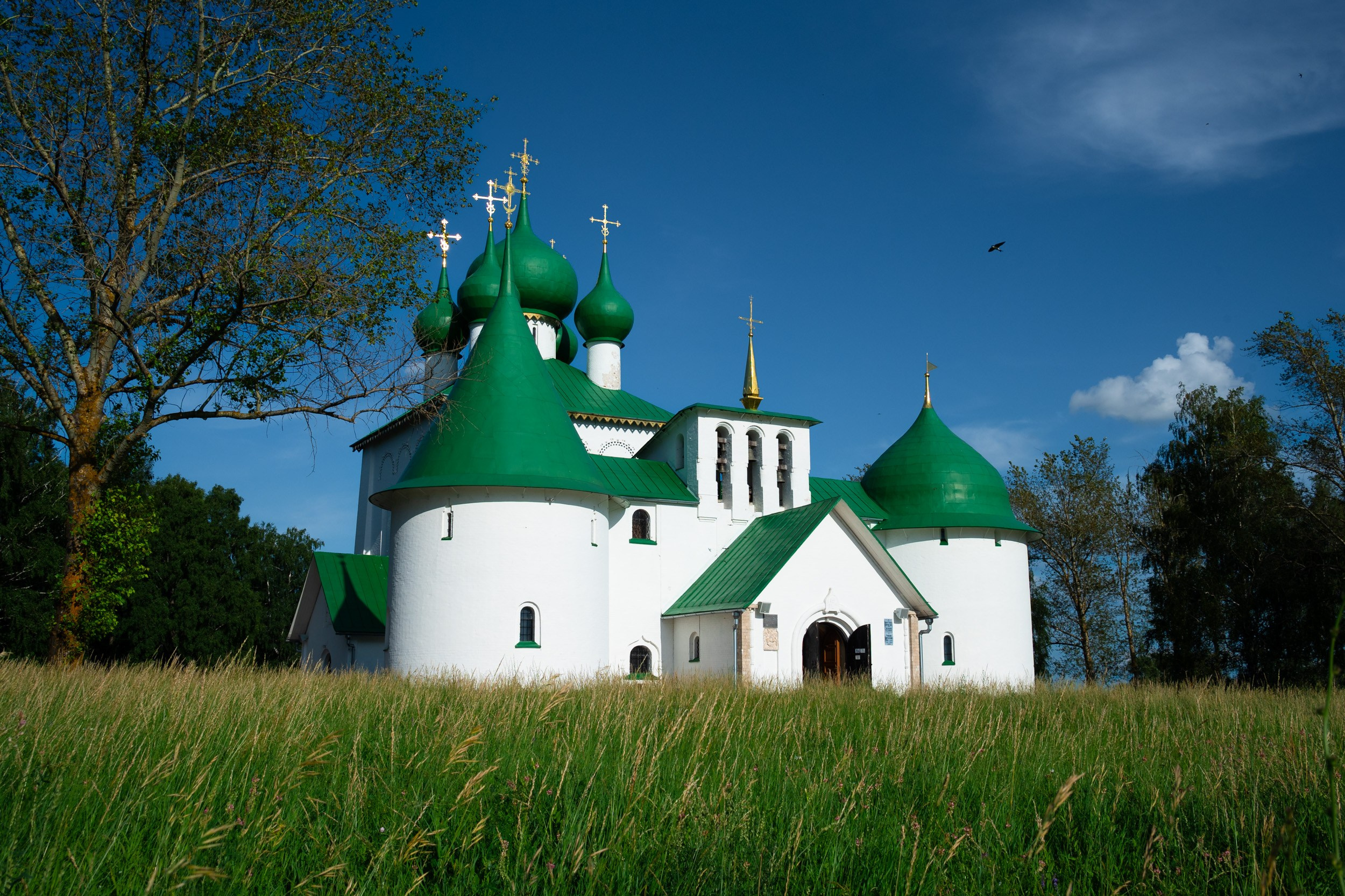 Куликово поле. Фотограф и видеооператор в Туле | Даниил Рыбак