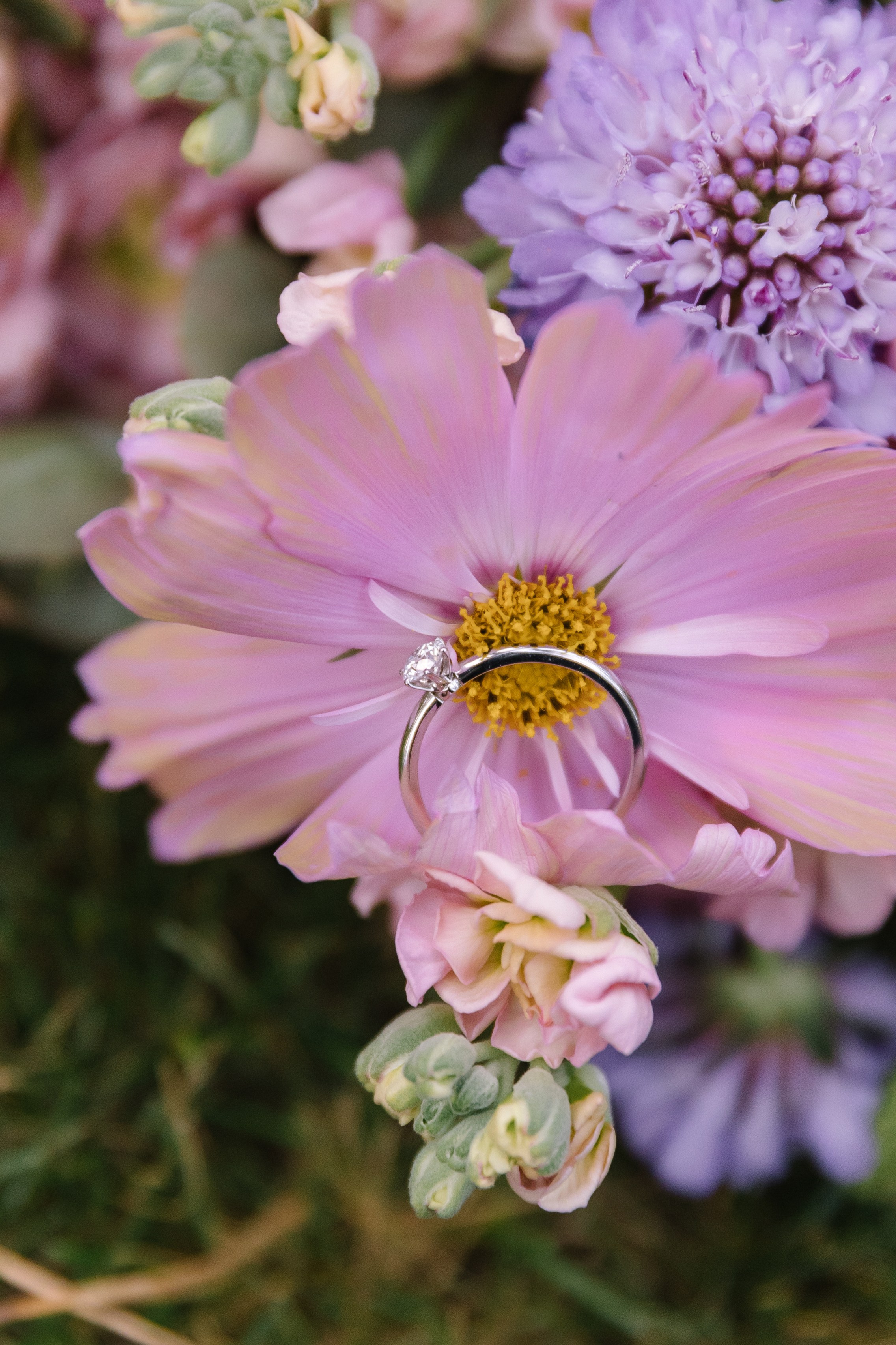 В конце лета. Фотограф Елена Краснопевцева