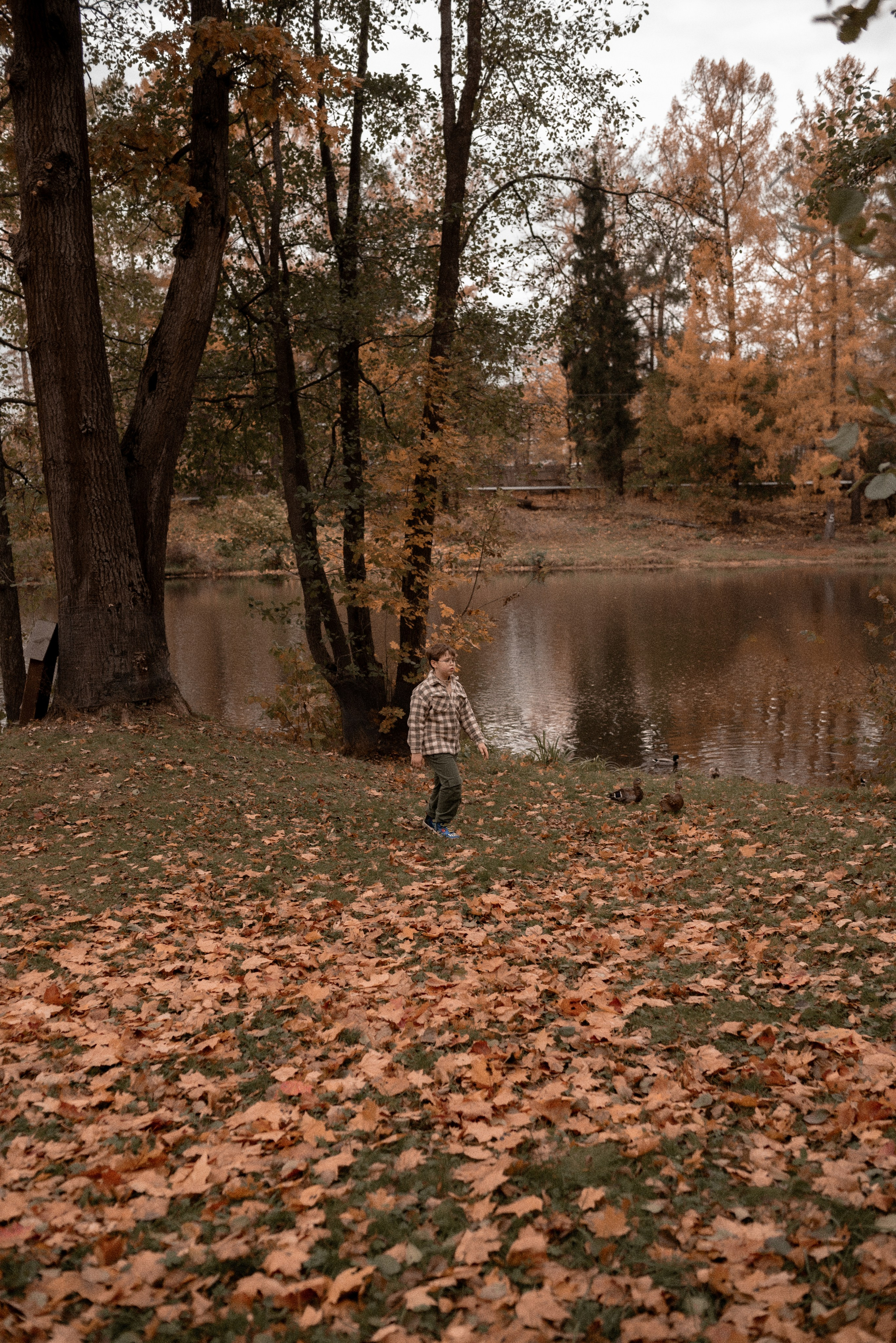 Семья. Свадебный и семейный фотограф в Серпухове Александра Дерюшева