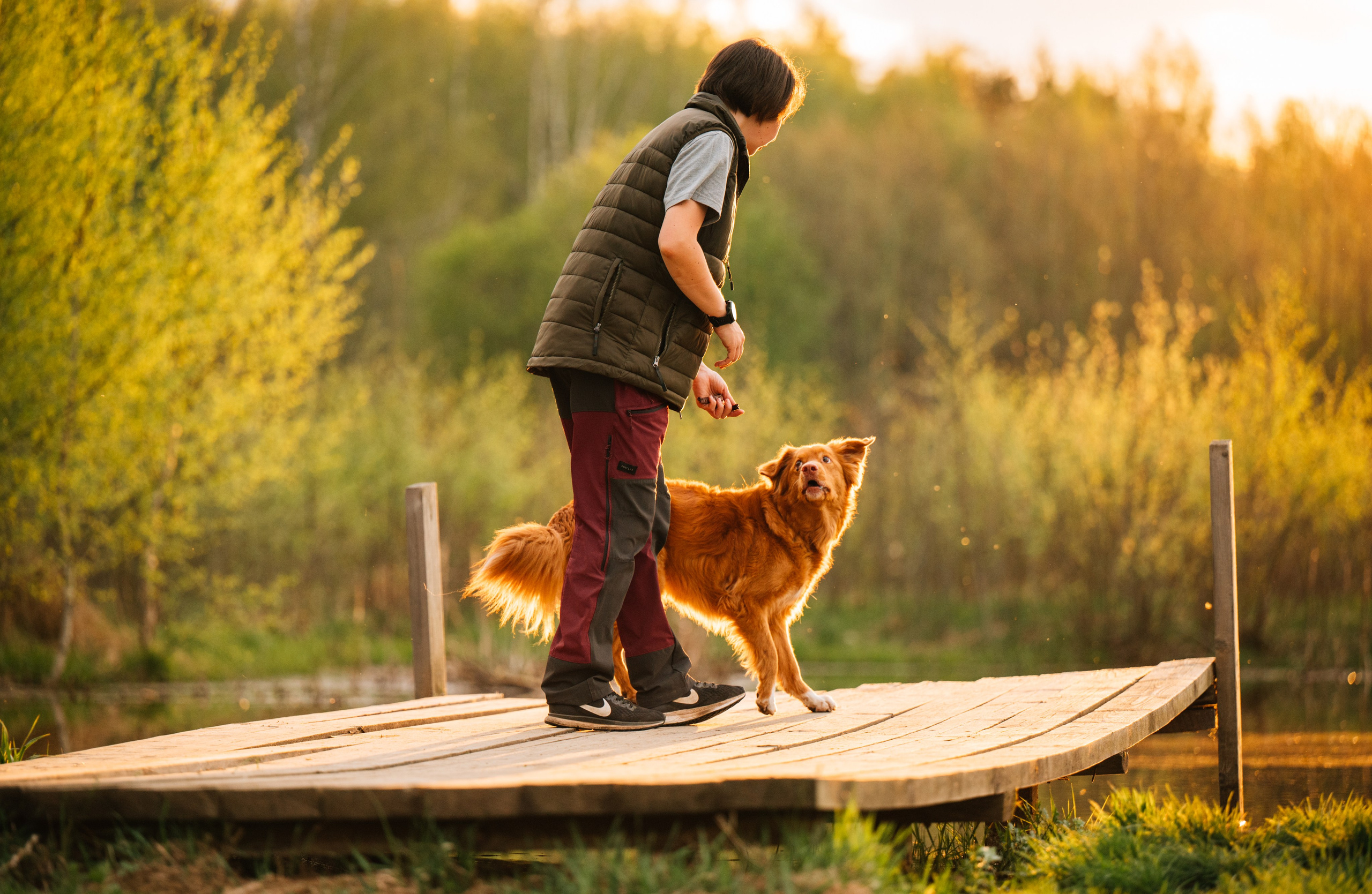 Алия, Ирвин и Грут. Семейный фотограф анималист Ананьева Мария — Москва