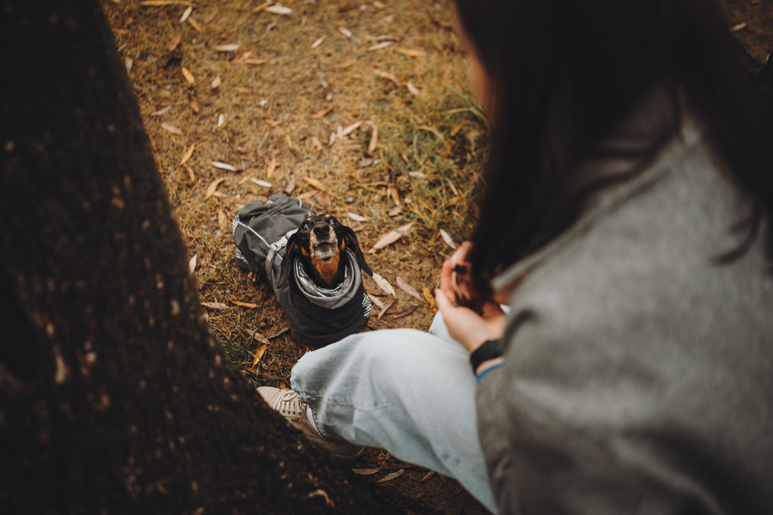 Аня, Оскар и Яр. Семейный фотограф анималист Ананьева Мария — Москва