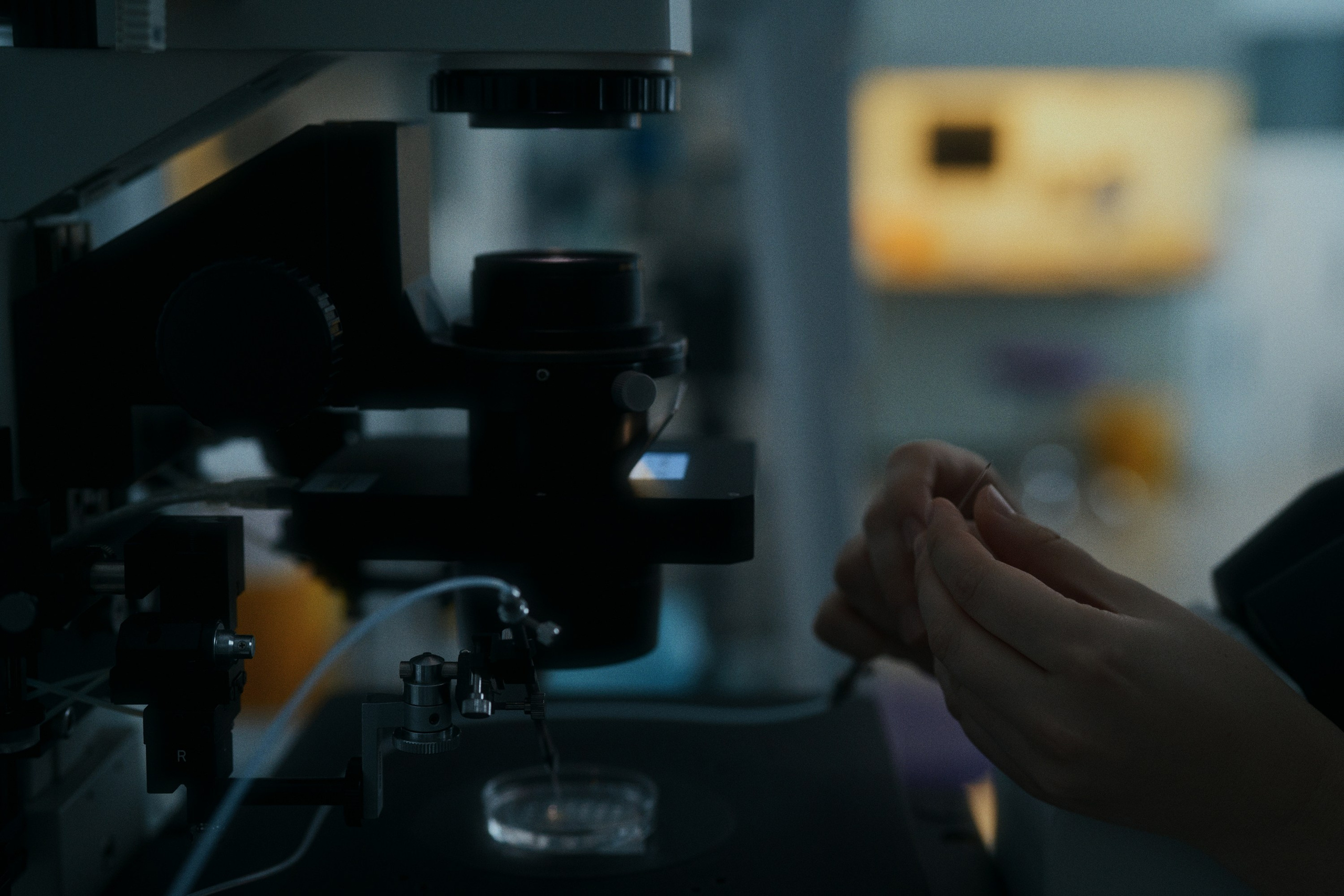 Cl laboratory. Фотограф Юрин Евгений