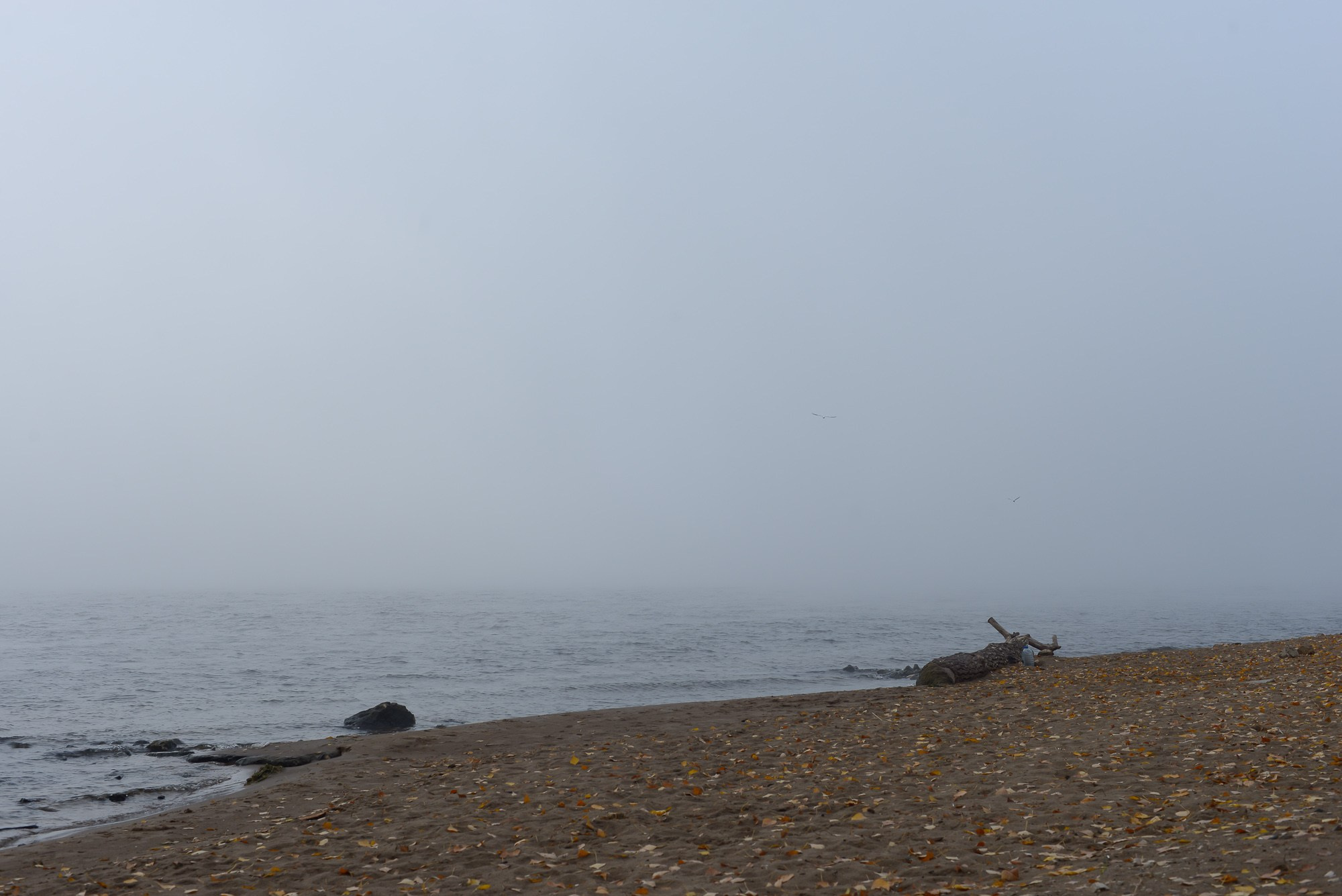 Фотограф Константин Ясинский