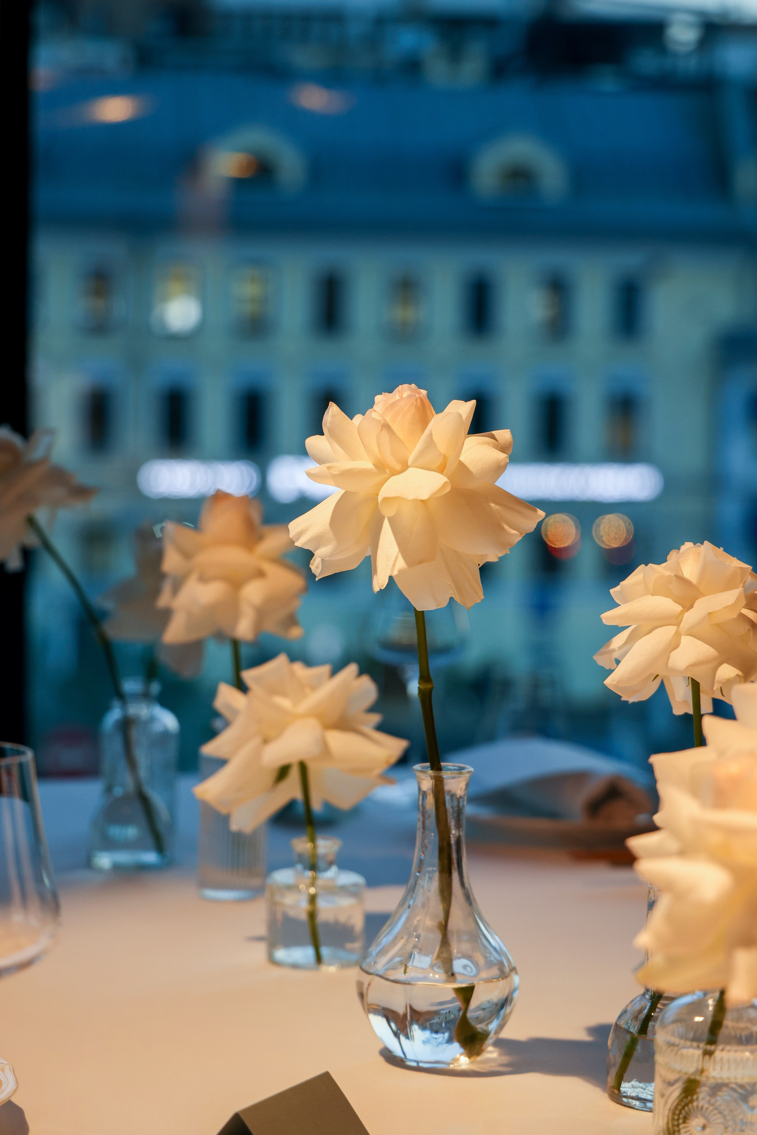 Мария ДР 19. Фотограф Антон Чупринин