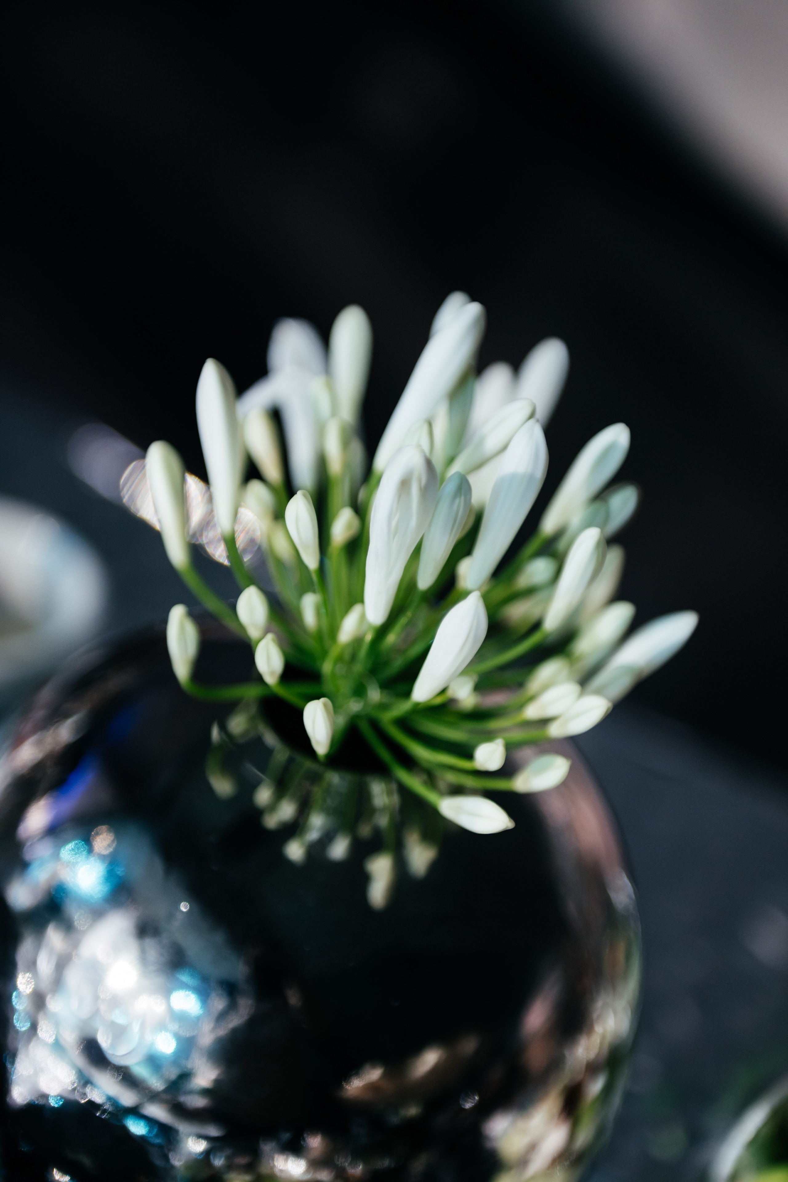 ДЕННИЦА 5 Лет. Свадебный фотограф Иркутск Алексей Шульгин